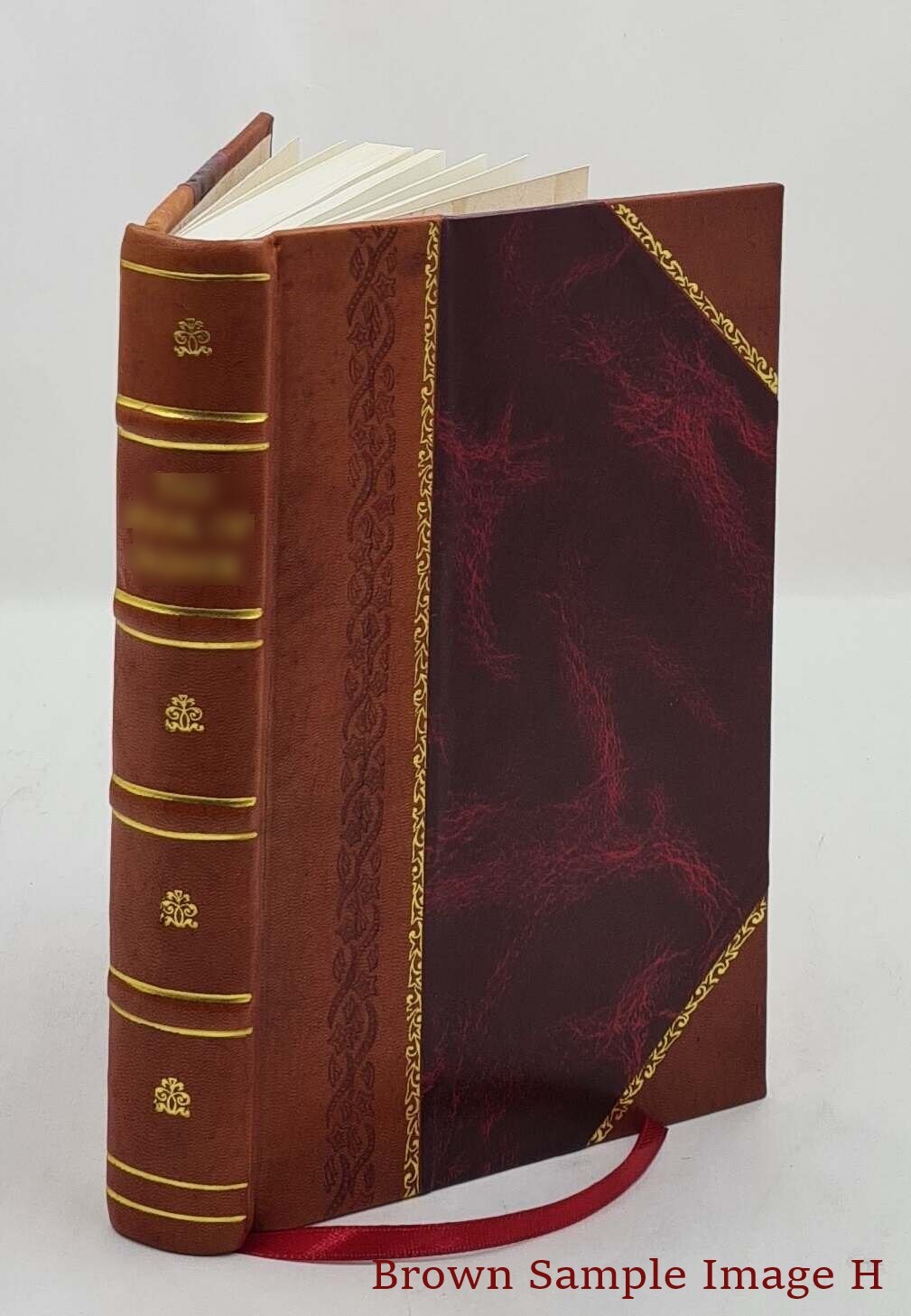 The Egyptian Book Of The Dead 1904 [Leather Bound]