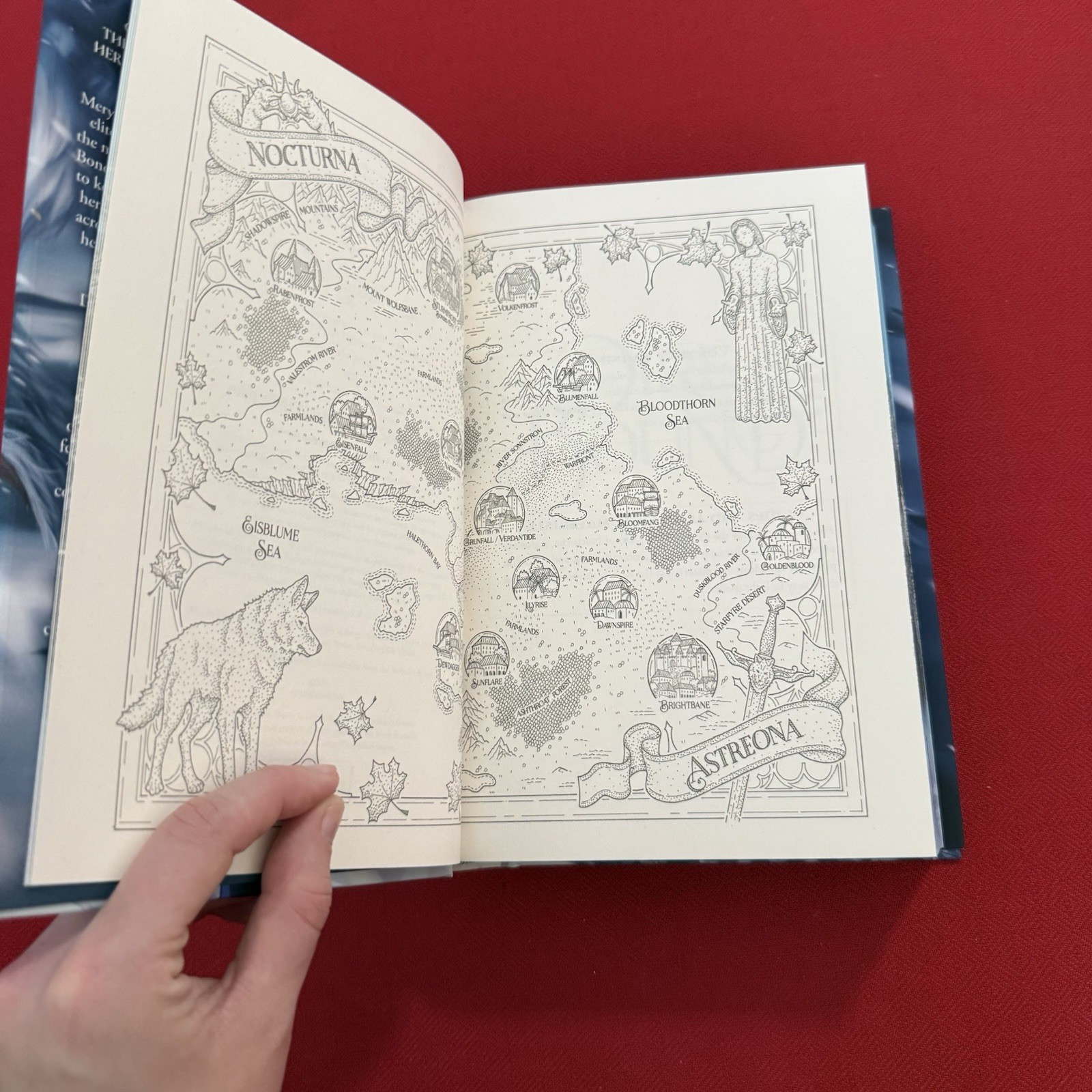Dire Bound by Sable Sorensen FairyLoot Exclusive Edition – Hardcover Unsigned
