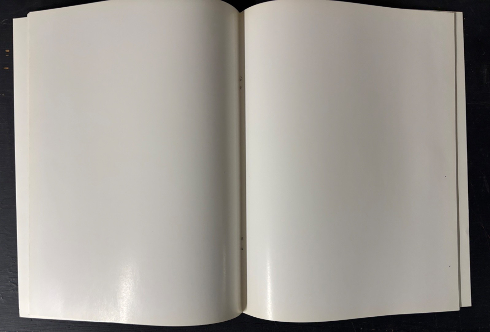 Blank Catalog Heavy Cover Glossy Paper 88 glossy pages staple-bound 8.5×11″