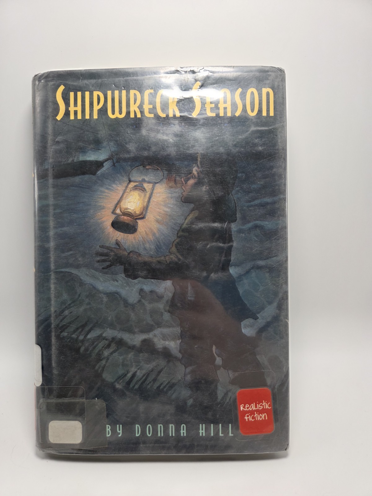 Shipwreck Season Donna Hill 1998 Hardcover Dust Jacket Ex-Library Historical YA