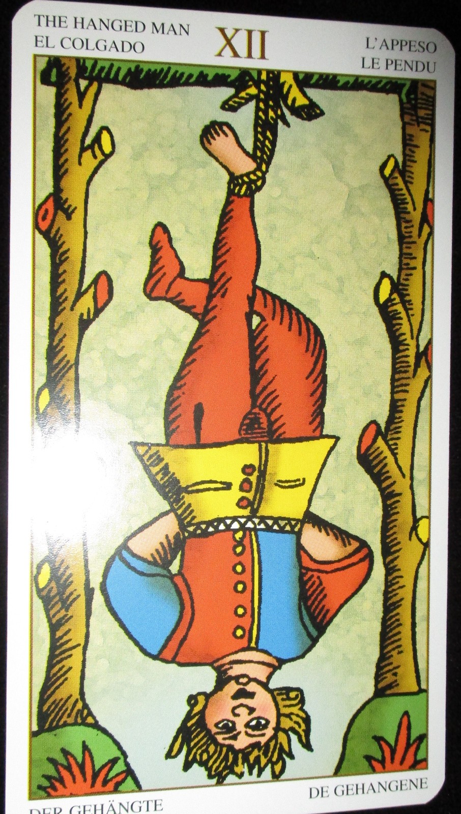 NEW ~ HUGE PROFESSIONAL ED. MARSEILLE TAROT CARDS & BOOK SET 4 1/2″ X 8″ DECK