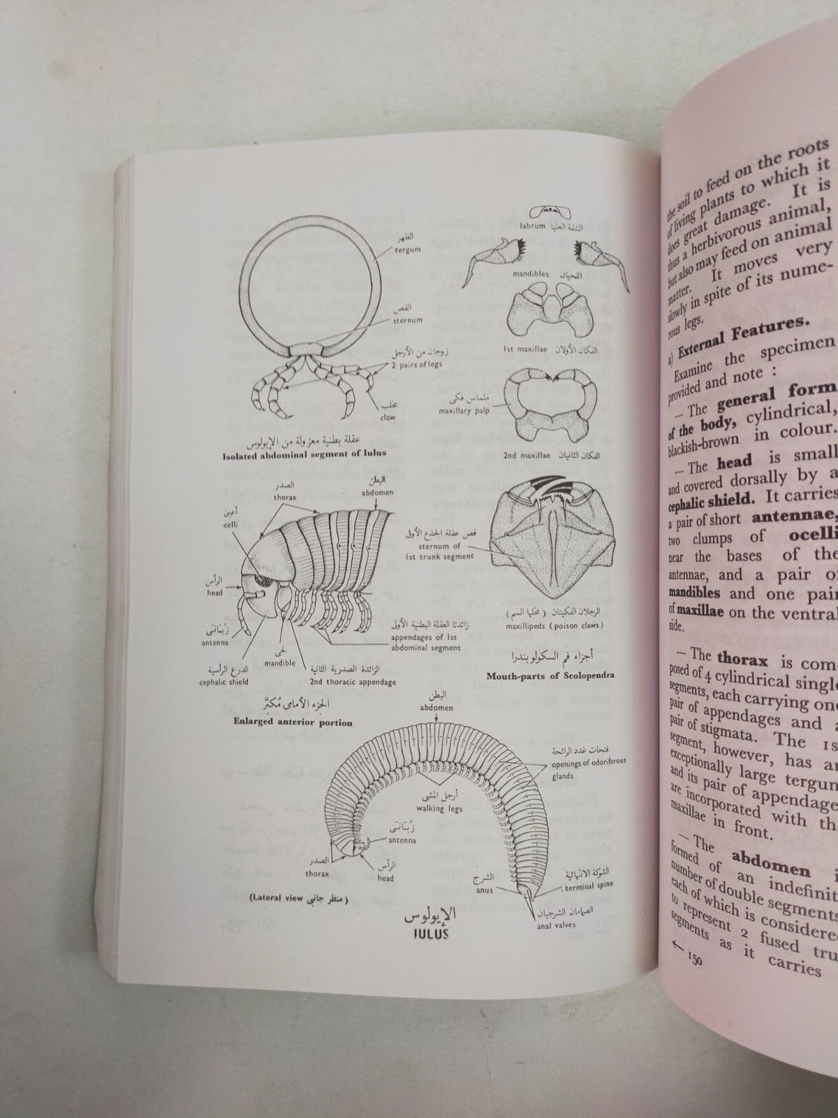 lot 3 Arabic & English Animal book كتاب بيولوجية الحيوان العلمية 3 اجزاء حيوانات