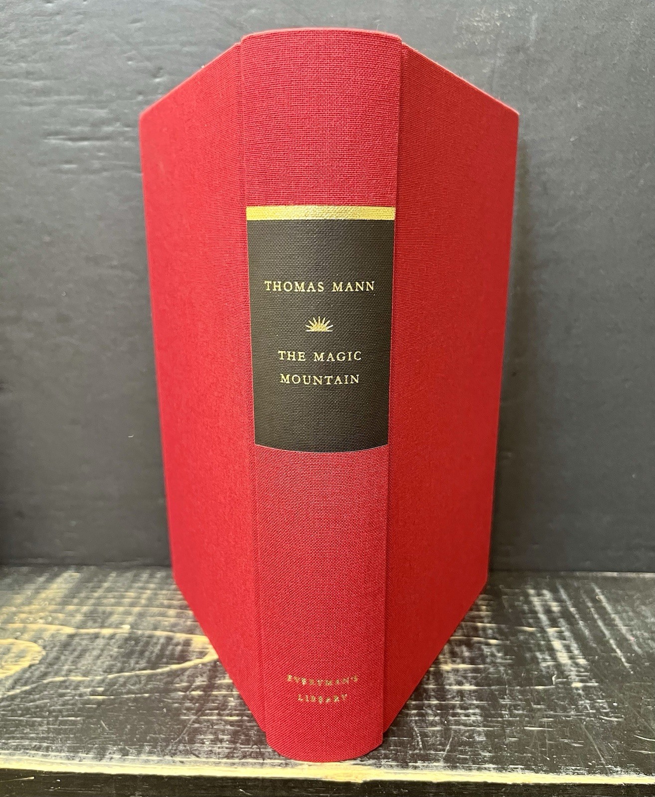 Magic Mountain Introduction by Thomas Mann Everymans Library 285 Like New Y1