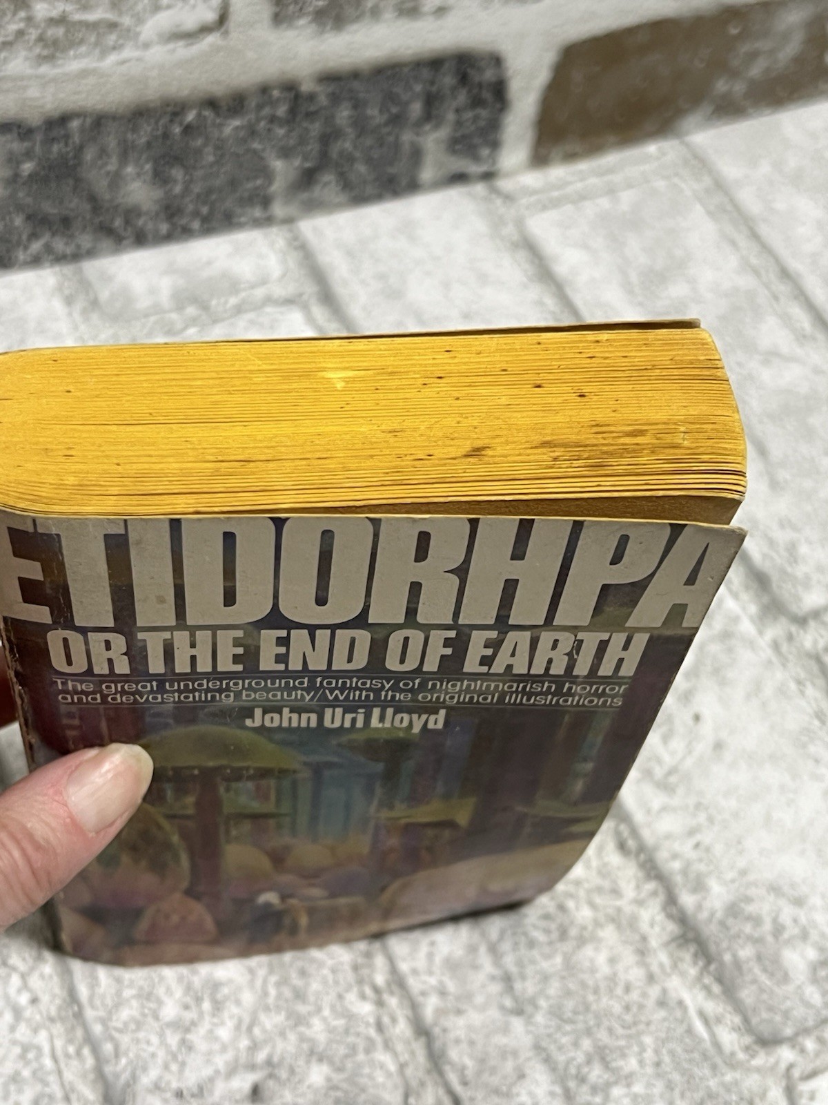 John U. Lloyd: Etidorpha, or The End of Earth Pbk 1976- RARE