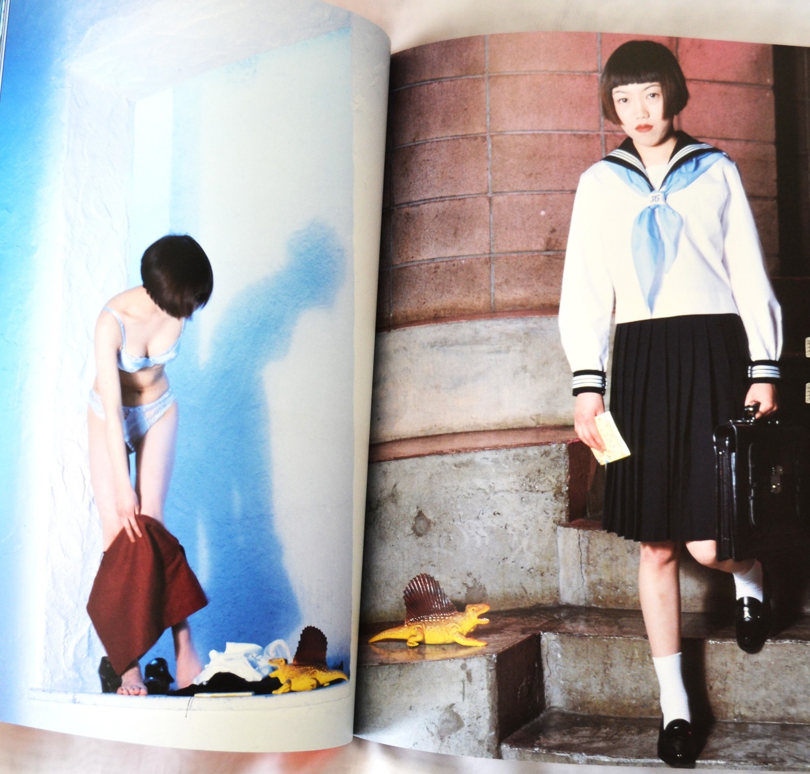 Nobuyoshi Araki Photo Book Novel-themed photos large book 29 x 21 cm 135P Rare