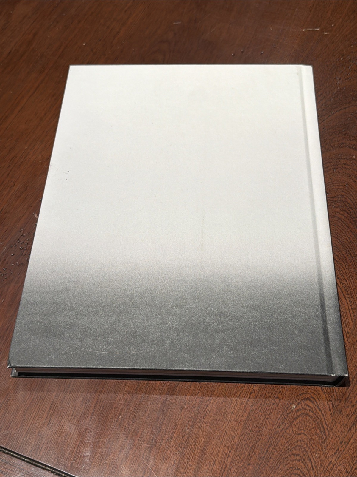 devendra banhart Prestel Verlag Munich Art Book HC 2015