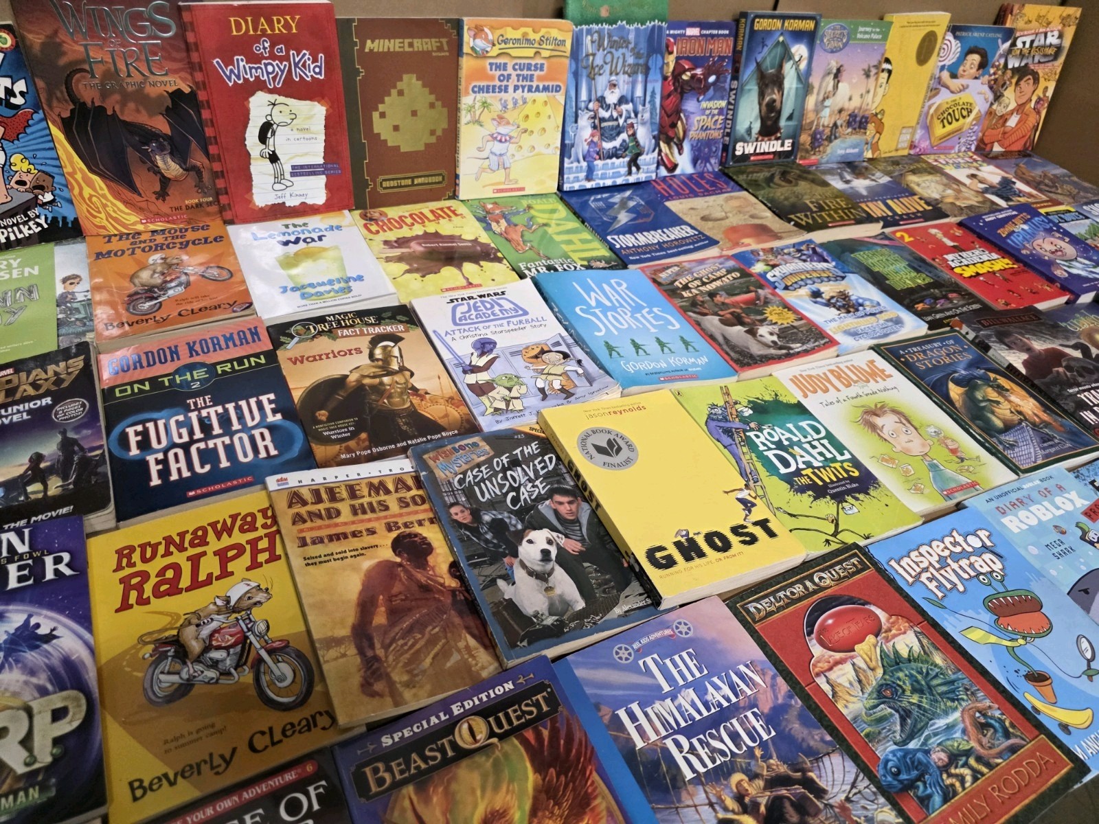 Lot of 20 Chapter Books for BOYS Youth Early Reader Young Adults Children RANDOM