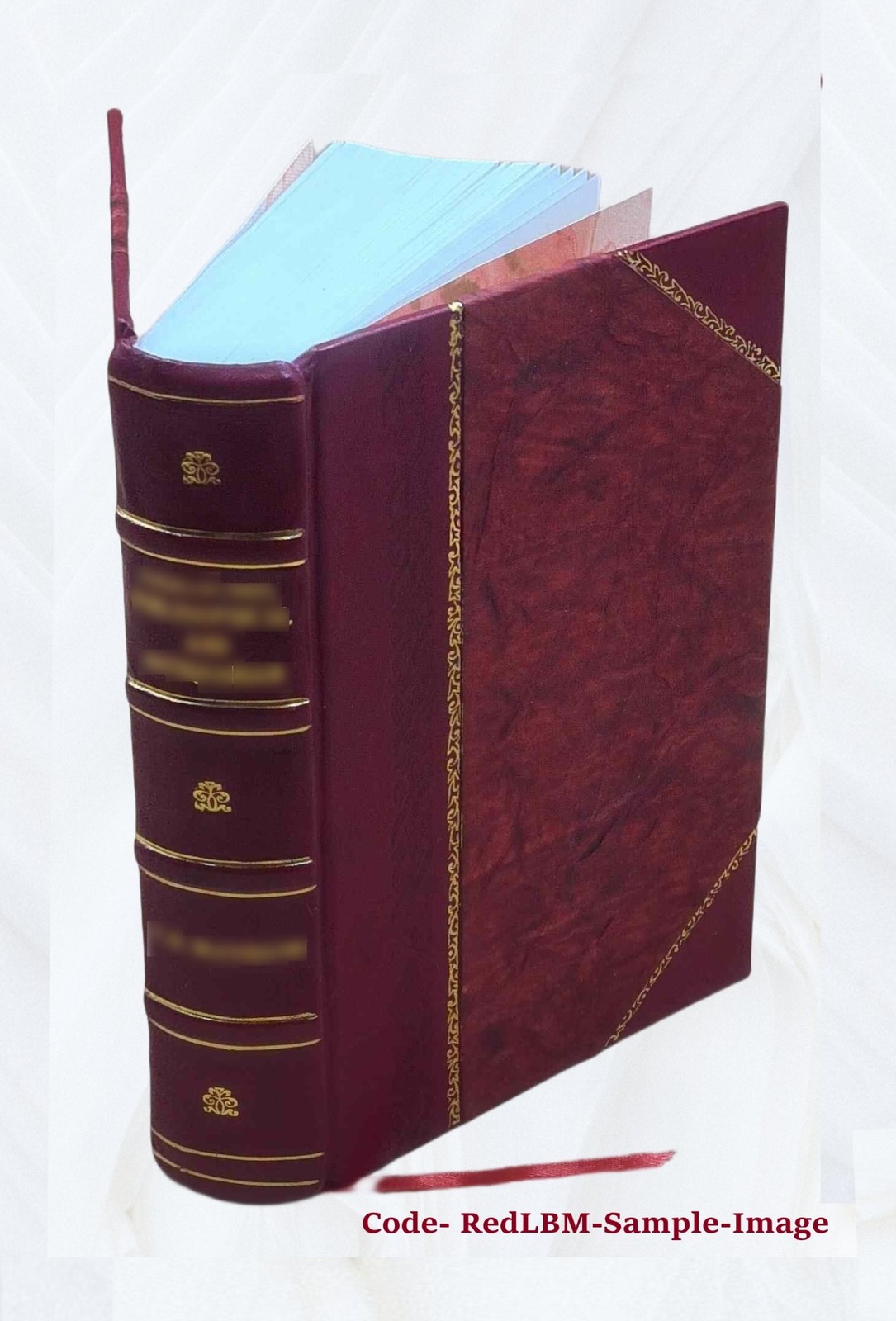 Entwurf einer urkundlichen geschichte des gesamm V. 3-4 18271828 [Leather Bound]