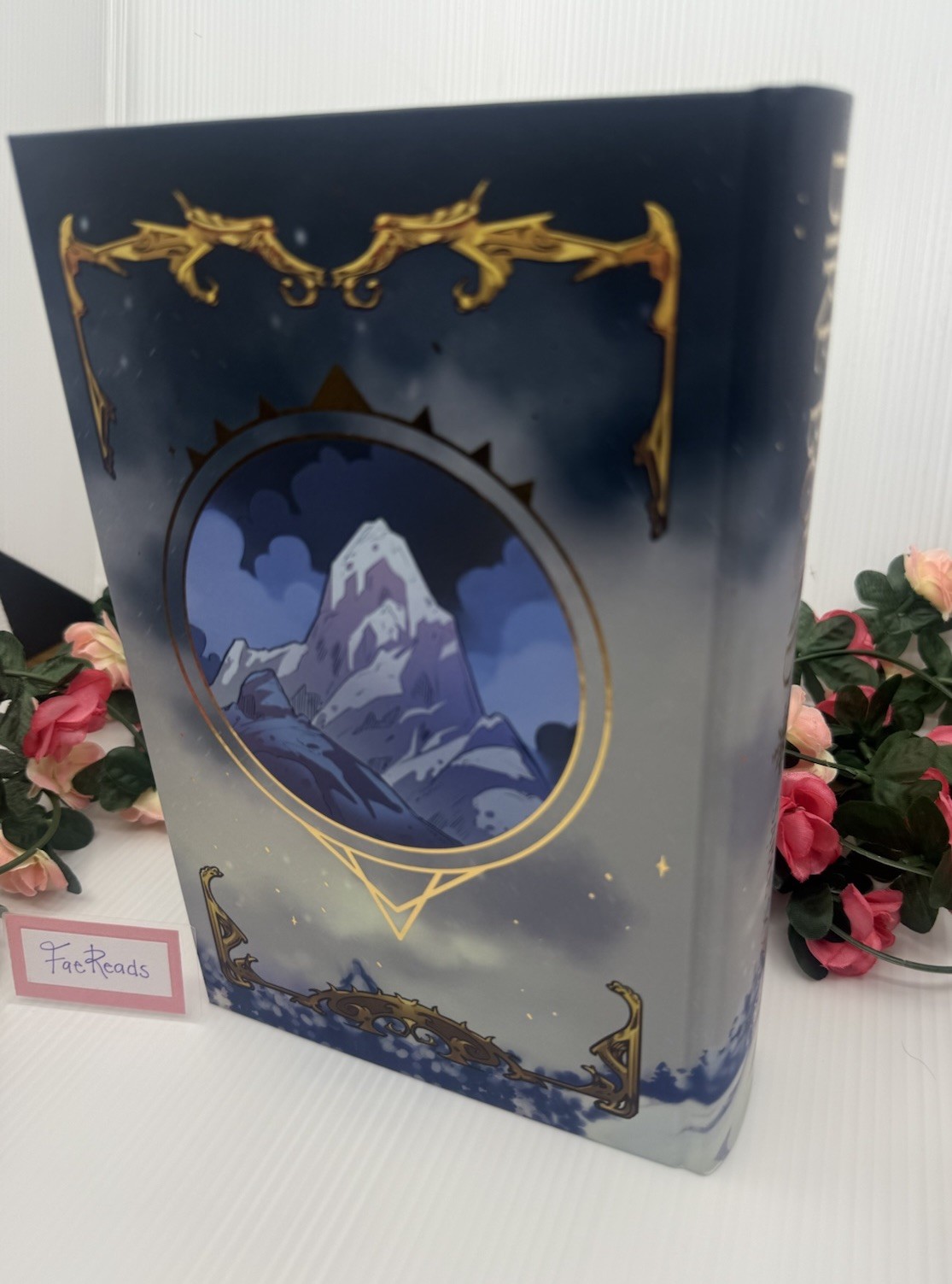 Direbound by Sable Sorensen (SIGNED AND BRAND NEW) Fairyloot