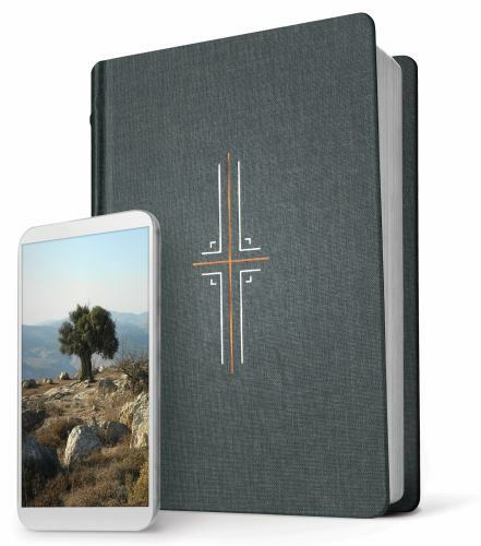 Tyndale NLT Filament Bible (Hardcover Cloth, Gray): Premium Bible with Access t