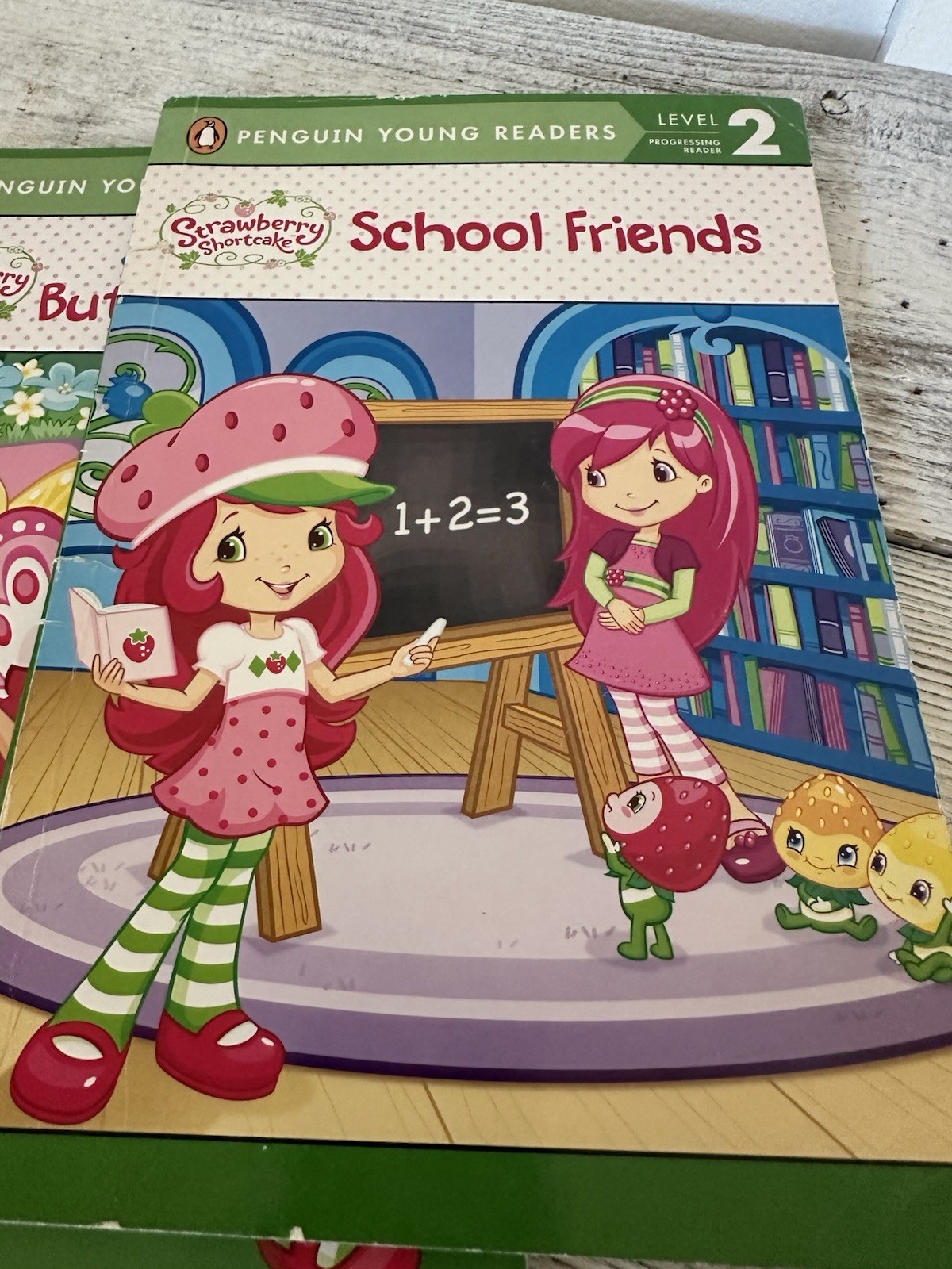 Set Of Kids (girls Interest) Beginner Reading Levels 1-3 Dozen Books
