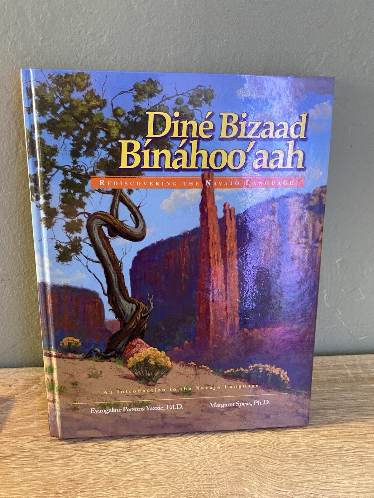 First Edition Dine Bizaad Binahoo’aah: Rediscovering the Navajo Language