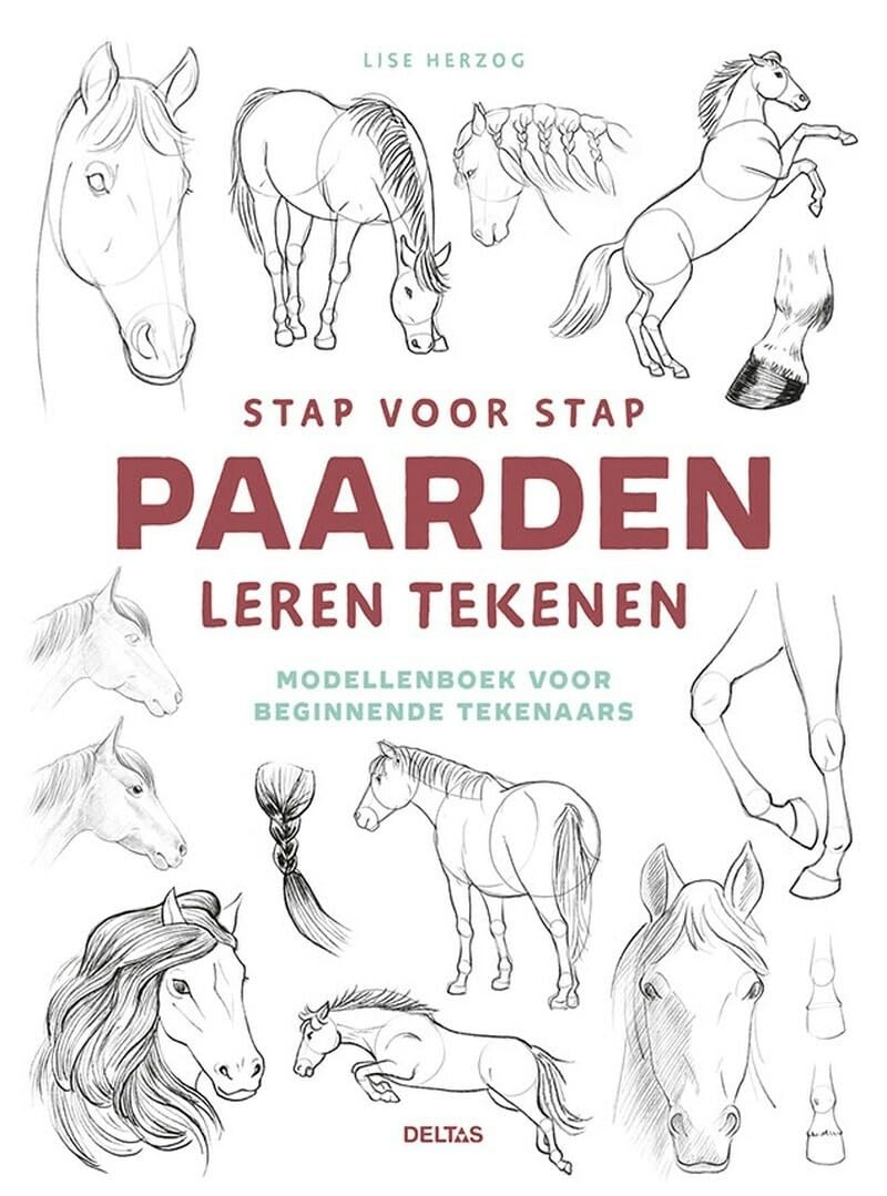 Lise Herzog Stap voor stap paarden leren tekenen: Modellenboek voor (Paperback)