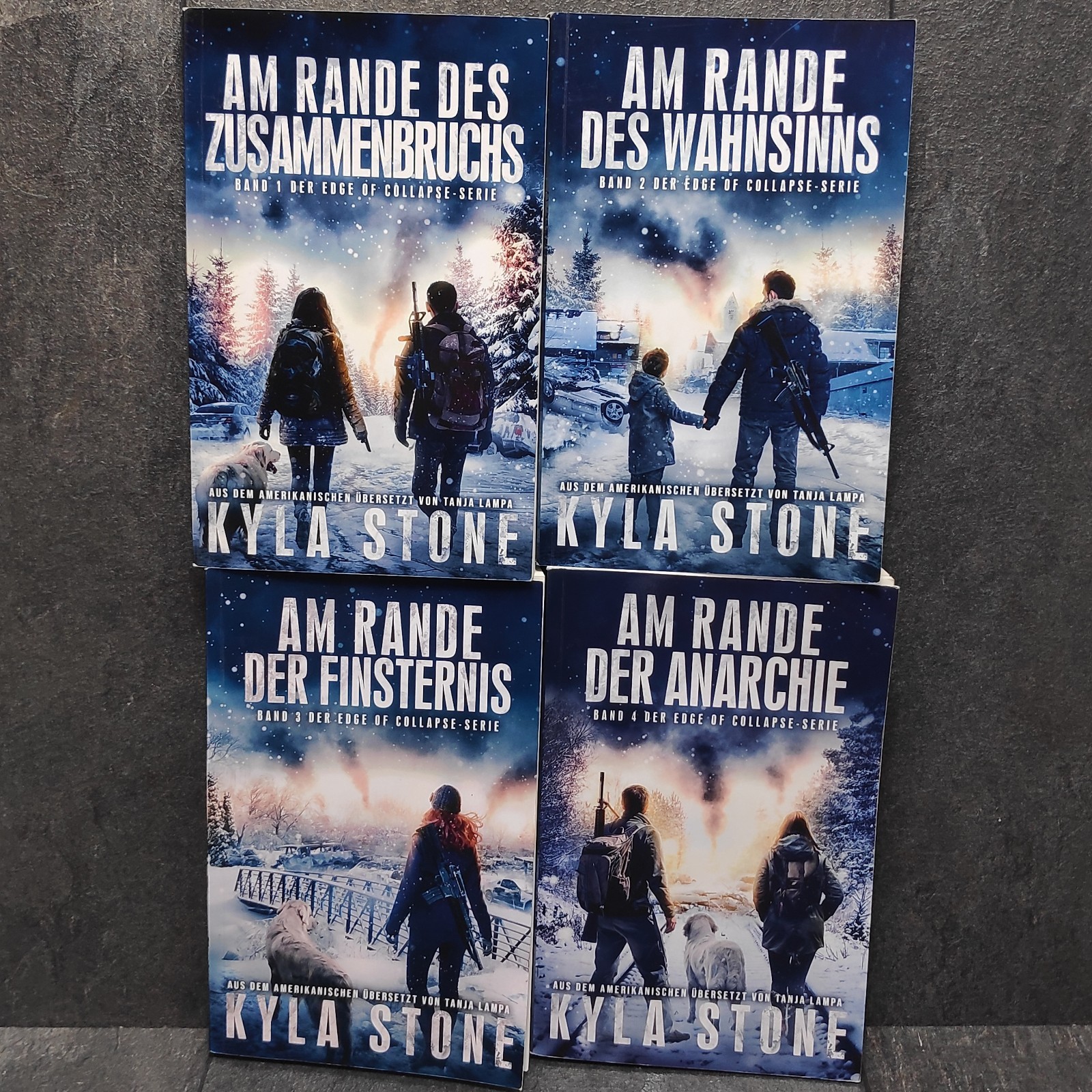 Edge Of Collapse 1-7 Bücher Buch Band 1 2 3 4 5 6 7 • Kyla Stone Am Rande