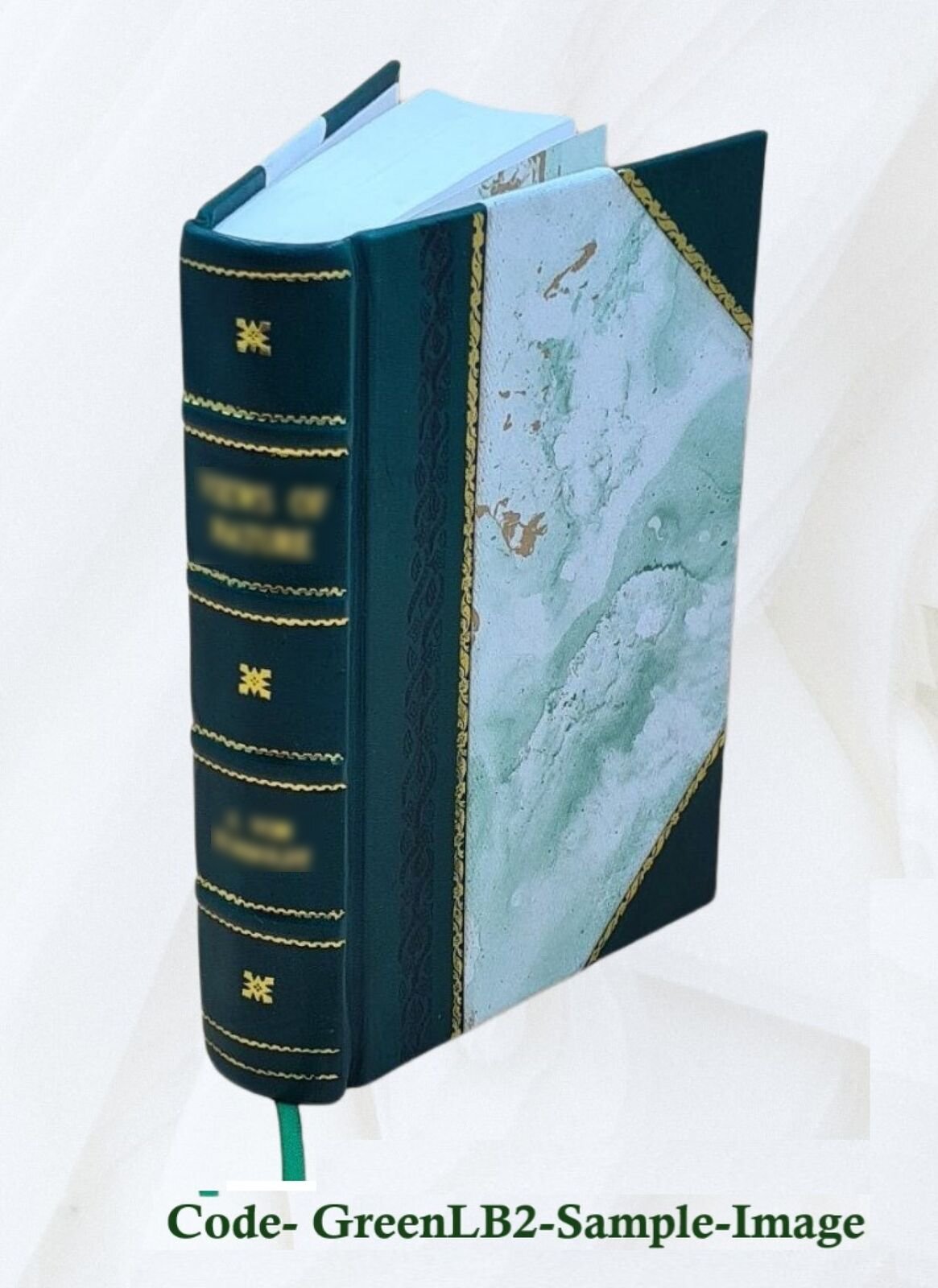 Actinida. Bd. 5,[2] 1890 by Danielssen, D. C. [Leather Bound]