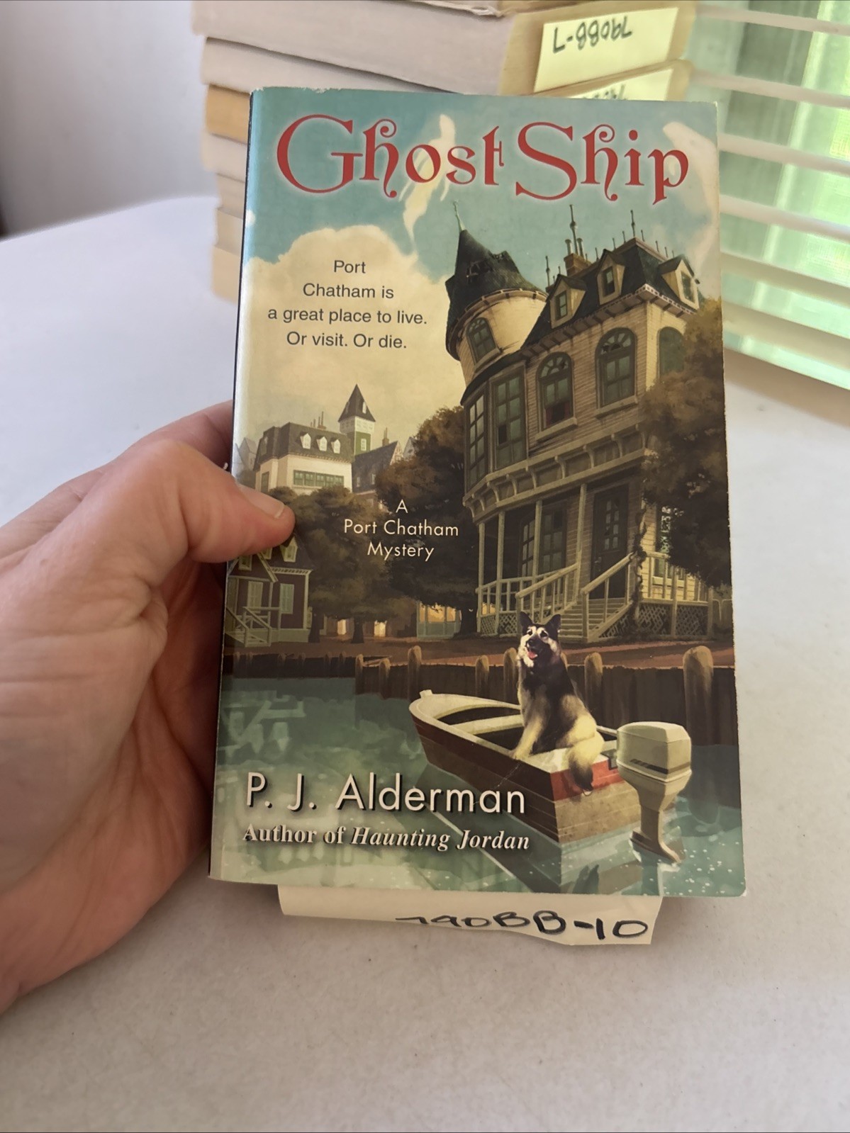 Lot of 10 – Cozy Mysteries – Mixed Authors – FREE SHIPPING