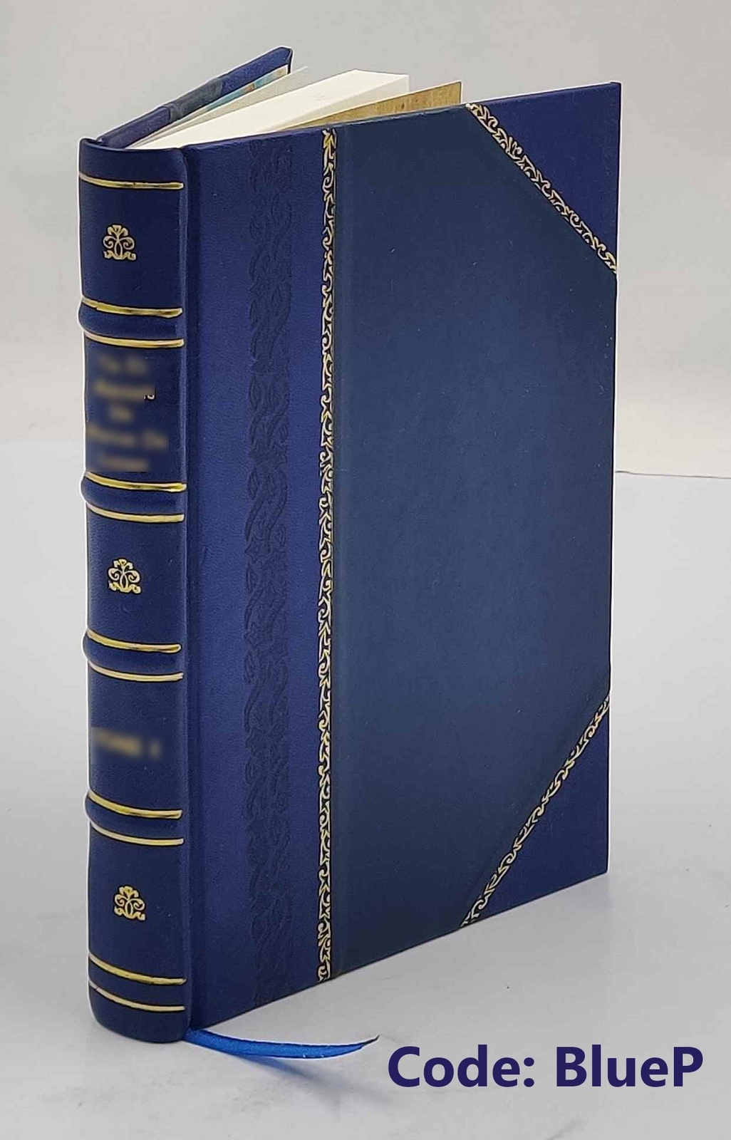 Die optischen Instrumente der Firma r. Fuess deren Beschreibung [Leather Bound]