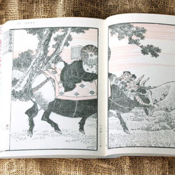 Hokusai Katsushika Manga Box Set 3 Volumes Remake Complete Edition Japanese Art