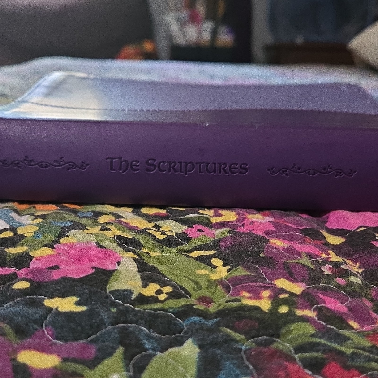 The Scriptures ISR softcover [Brand New]