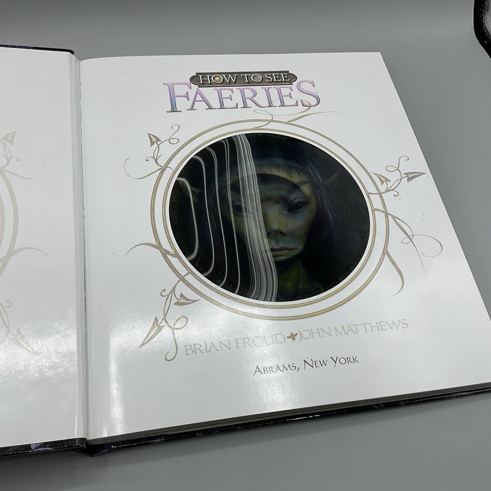 How To See Faeries Brian Froud John Matthews 2010 Pop Up Fantasy Book