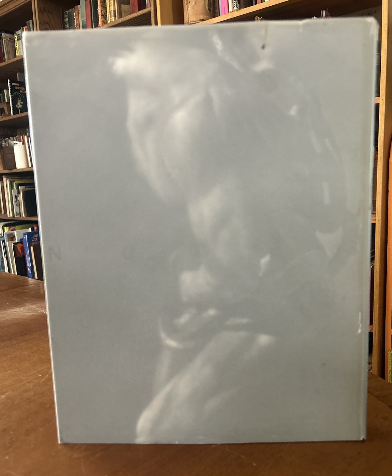 GRAPHIS NUDES #1 : 1992 1ST Edition HCDJ VG