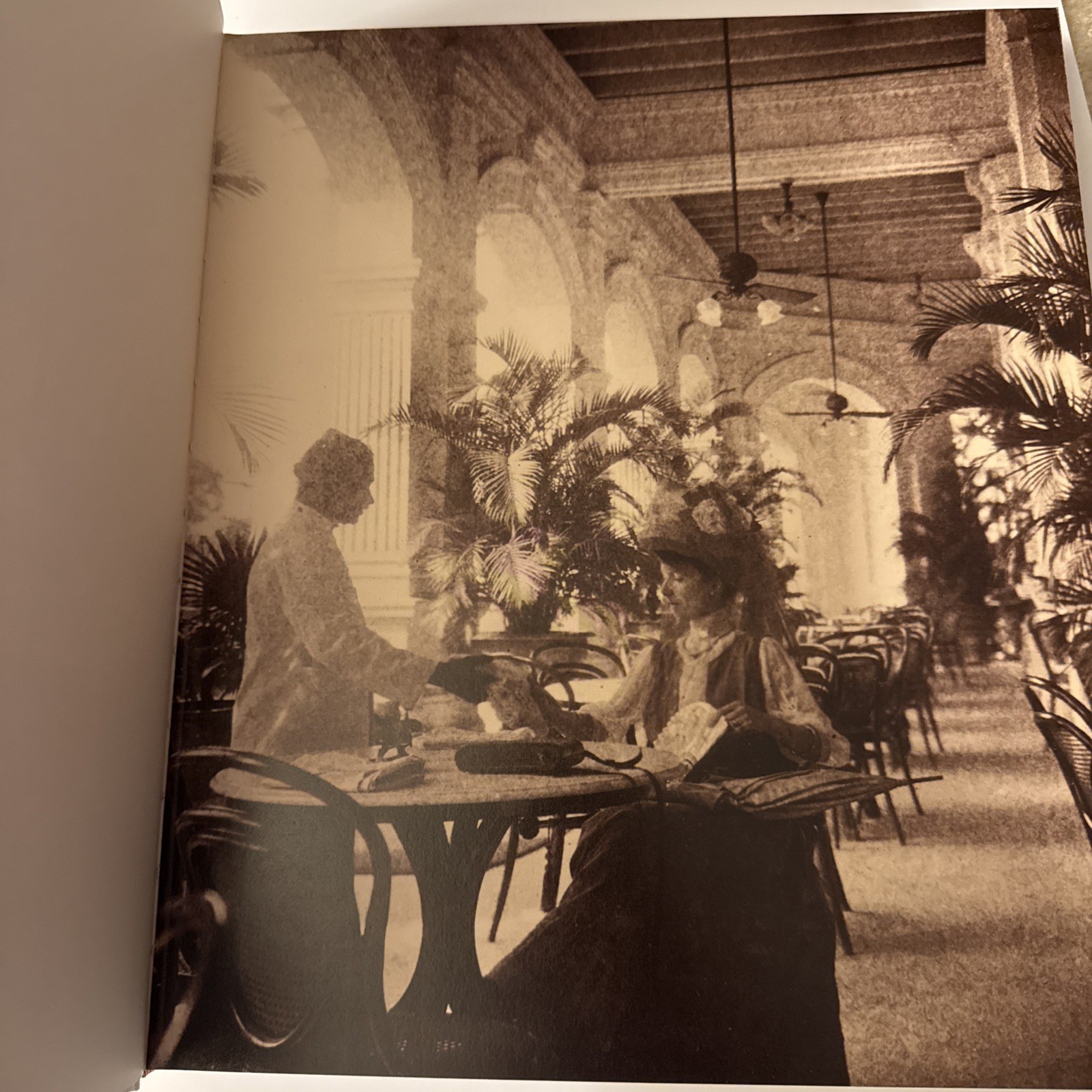 Raffles Hotel (Hardcover, 2006) By Gretchen Liu Editions Didier Millet Singapore