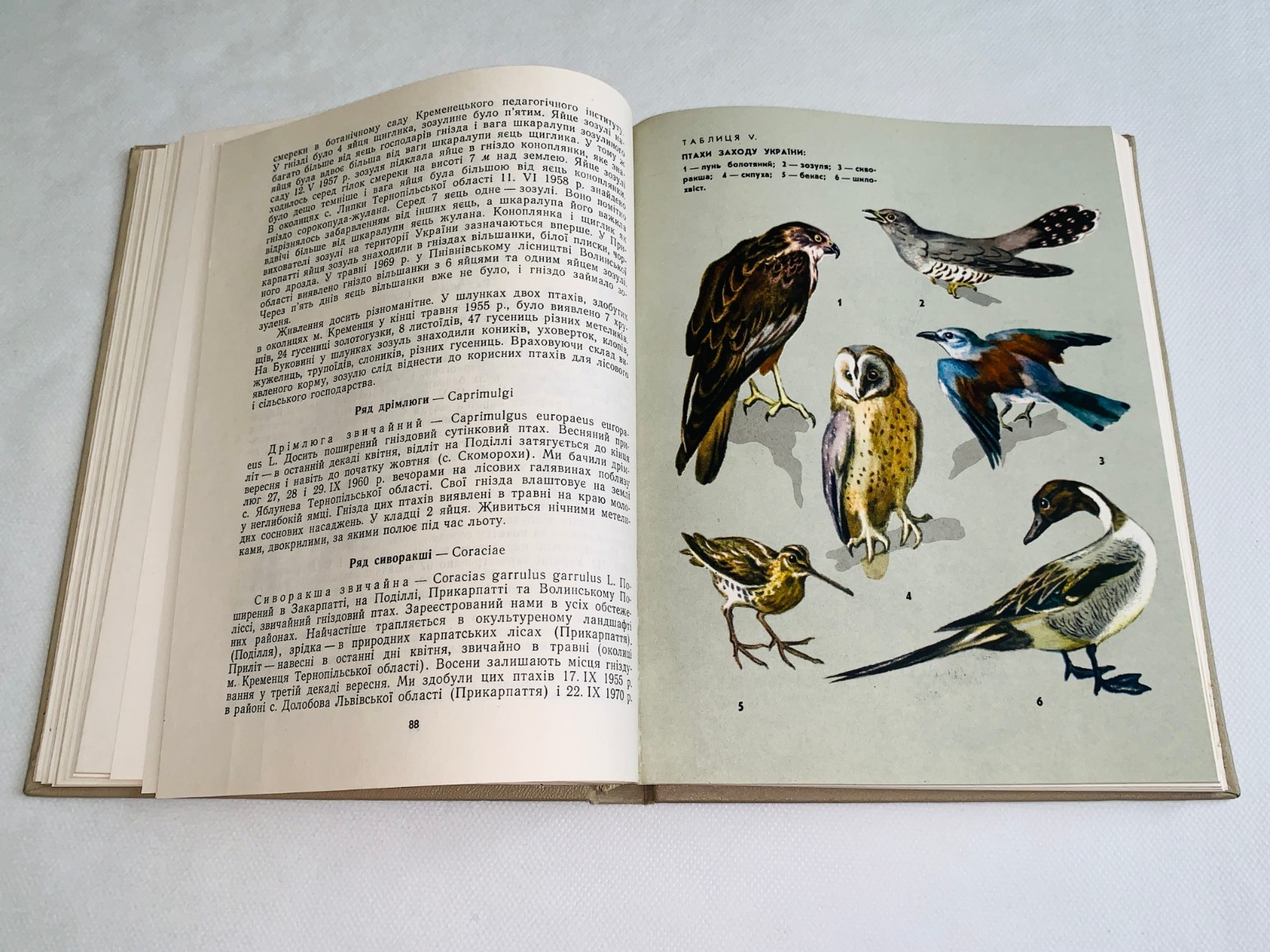 Фауна Західної України Хребетні / Fauna of Vertebrates of the Western Ukraine