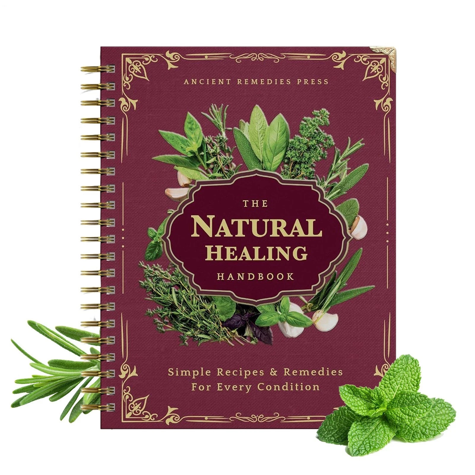 The Natural Healing Handbook by Ancient Remedies Spiral Bound Reference
