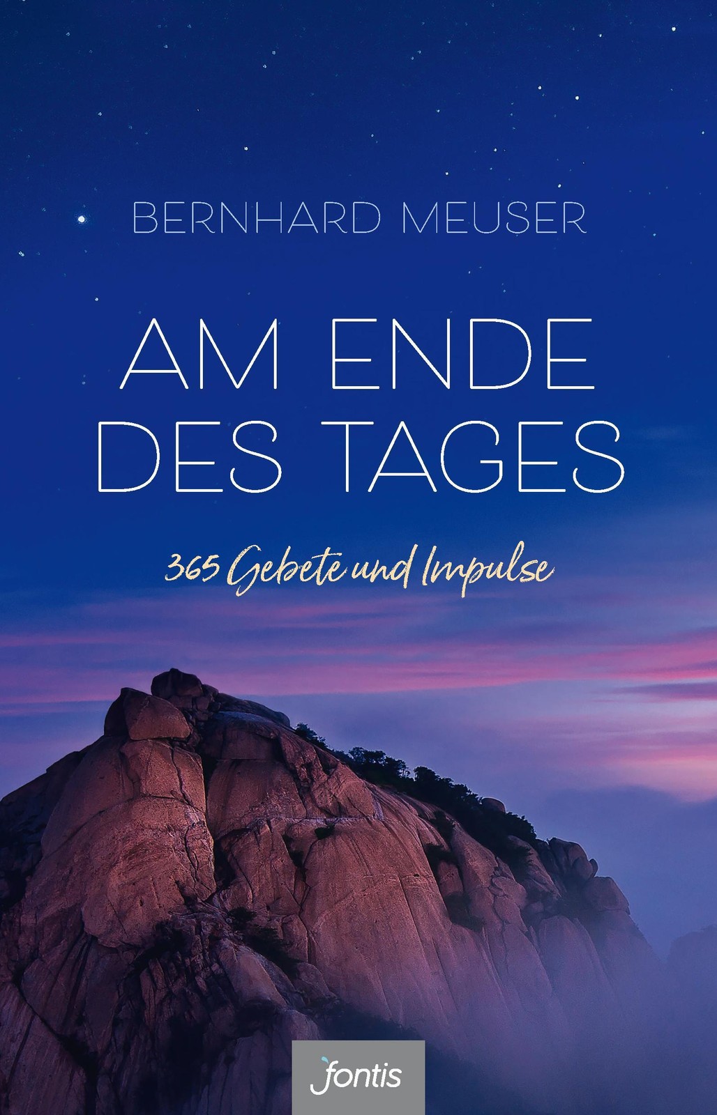 Bernhard Meuser Am Ende des Tages