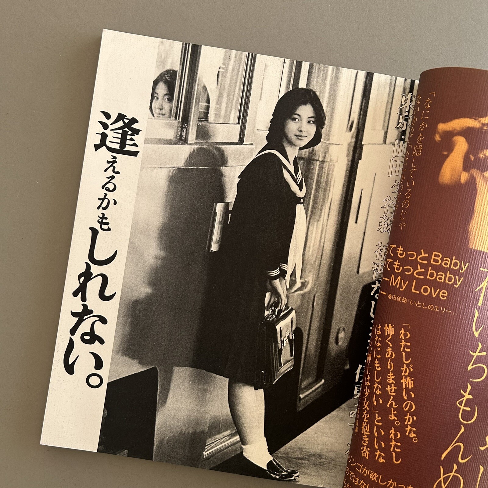 Japanese Rare Photo Book “Say Shoujo” Tadashi Endo (1980) 1970s Japanese culture