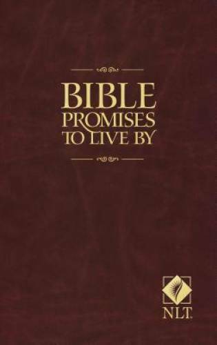 Bible Promises to Live By – Paperback By Beers, Ronald A. – ACCEPTABLE