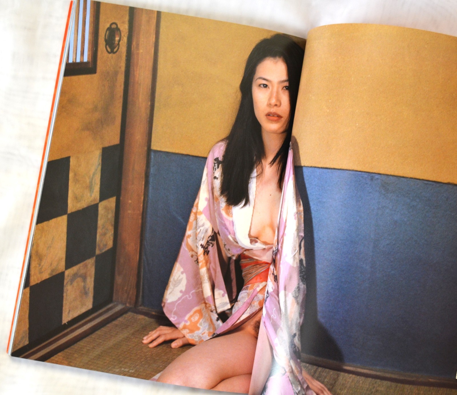 Nobuyoshi Araki Photo Book Novel-themed photos large book 29 x 21 cm 135P Rare