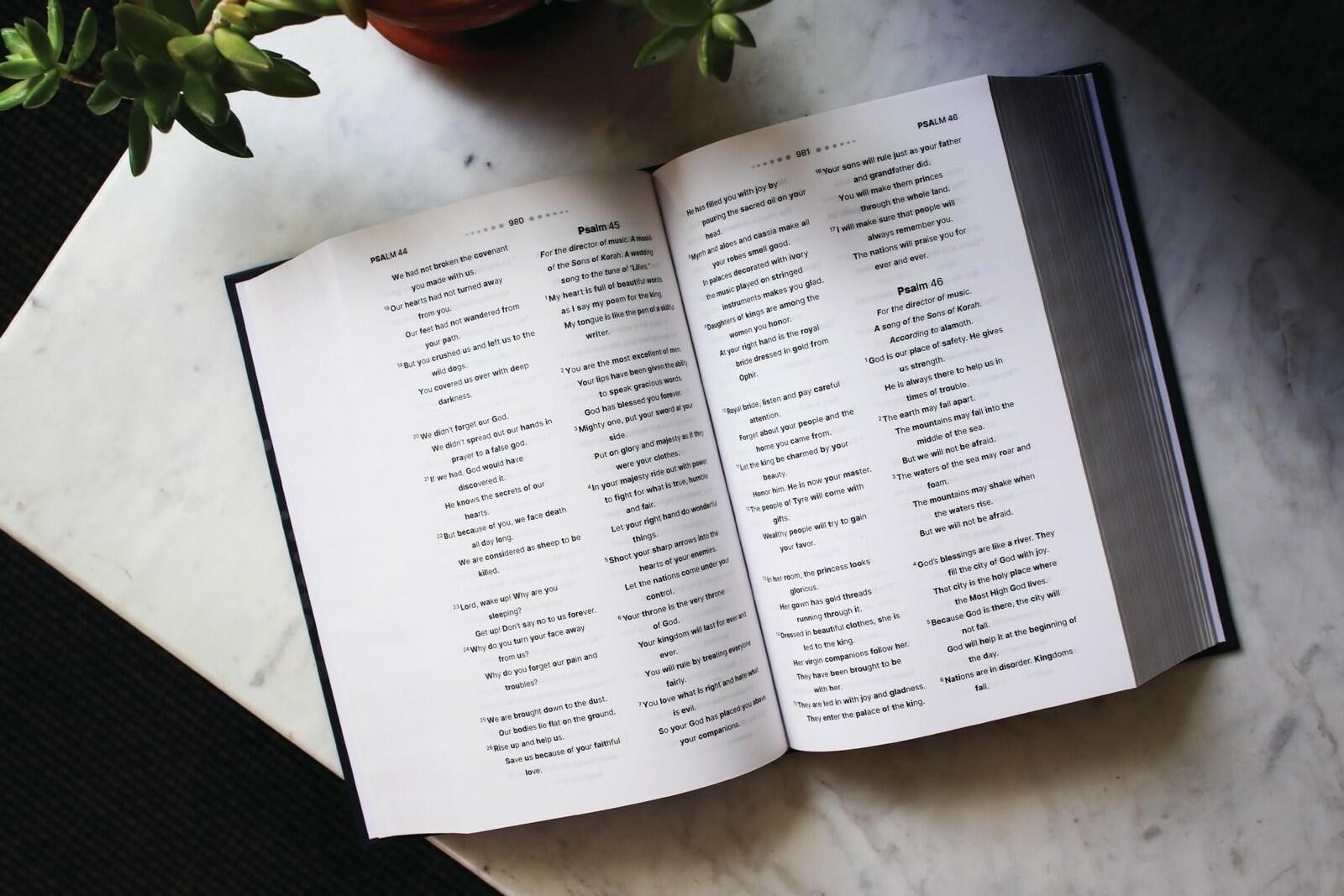 NIrV, Clear Focus Bible, Hardcover, Charcoal/Blue: Read more of the Bible…