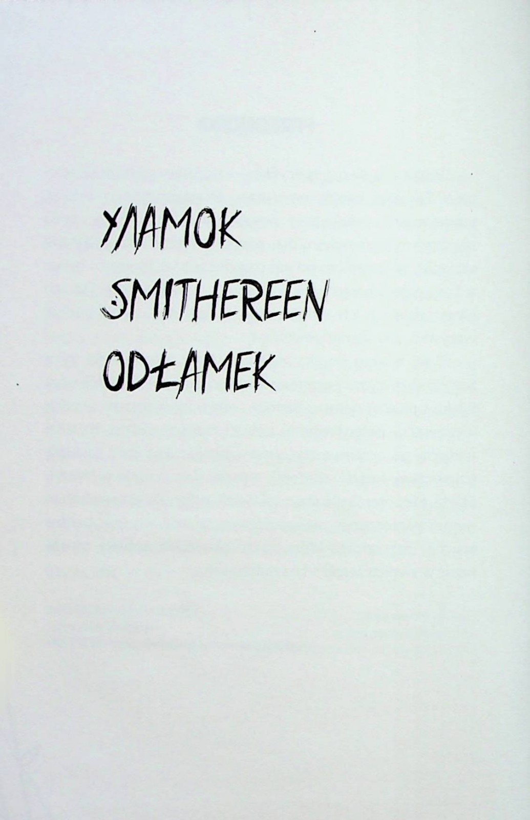 Book In Ukrainian Уламки Інга Герда Inh Gerda Debris