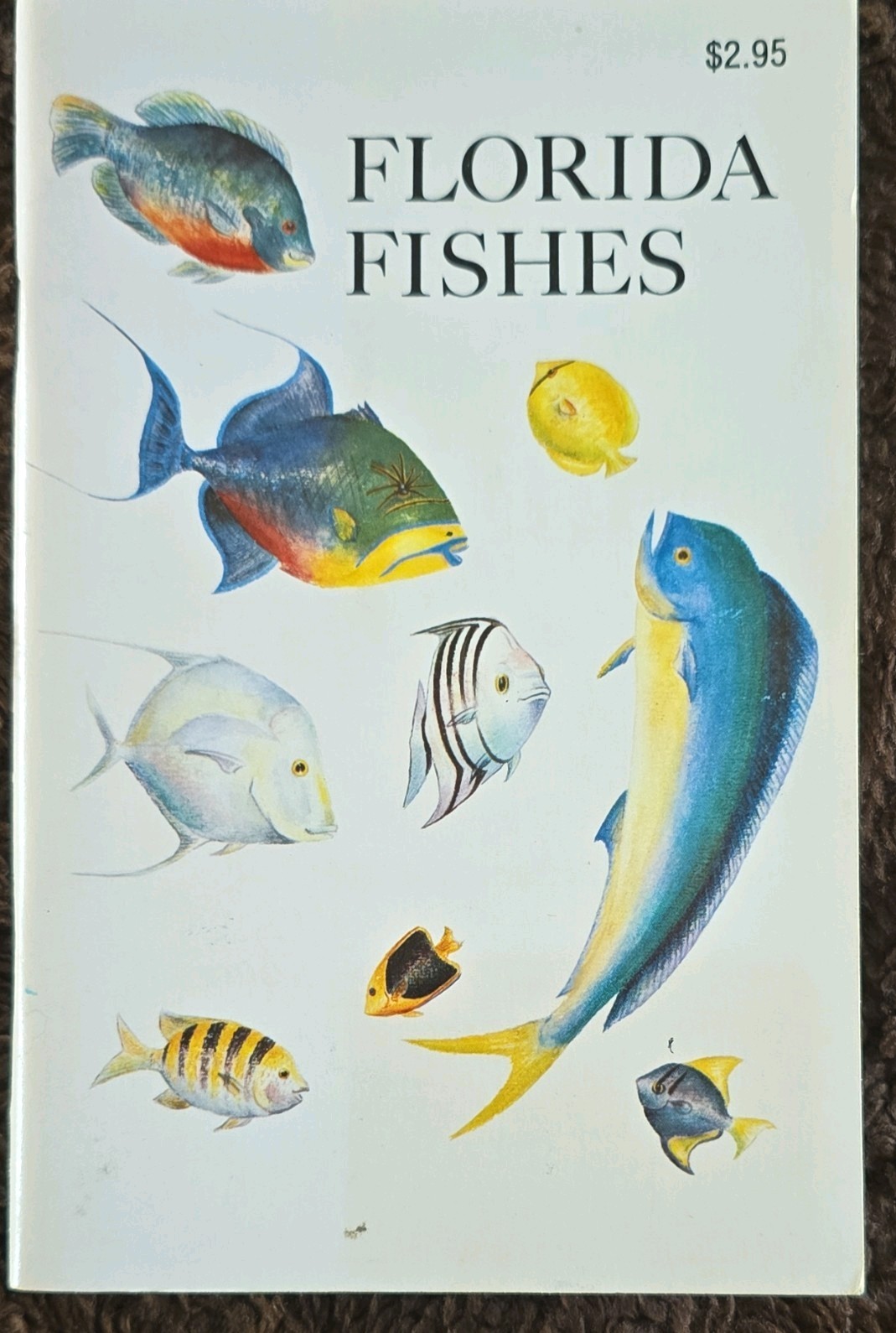 Rube Allyn Florida Fishes 1982 Paperback Illustrated Revised Ed Great Outdoors