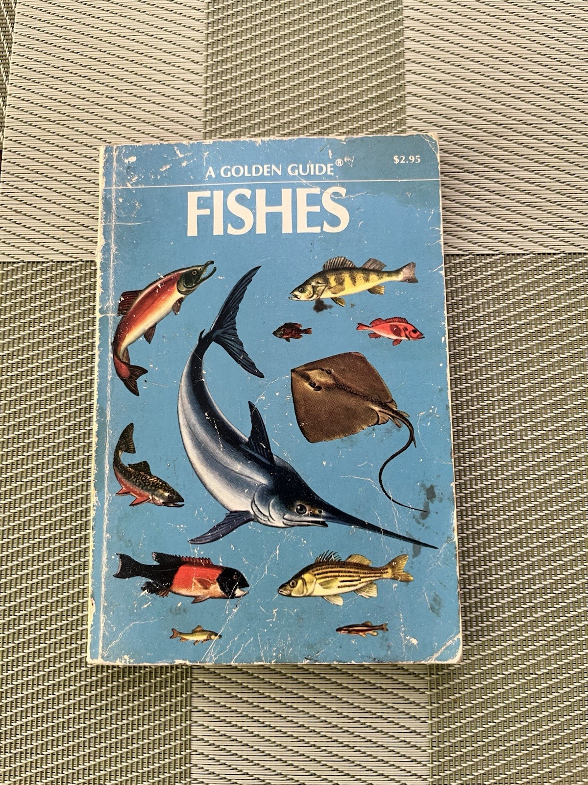 1956 Fishes Golden Nature Guide HC Baker Shoemaker 278 Species Fish Color VTG
