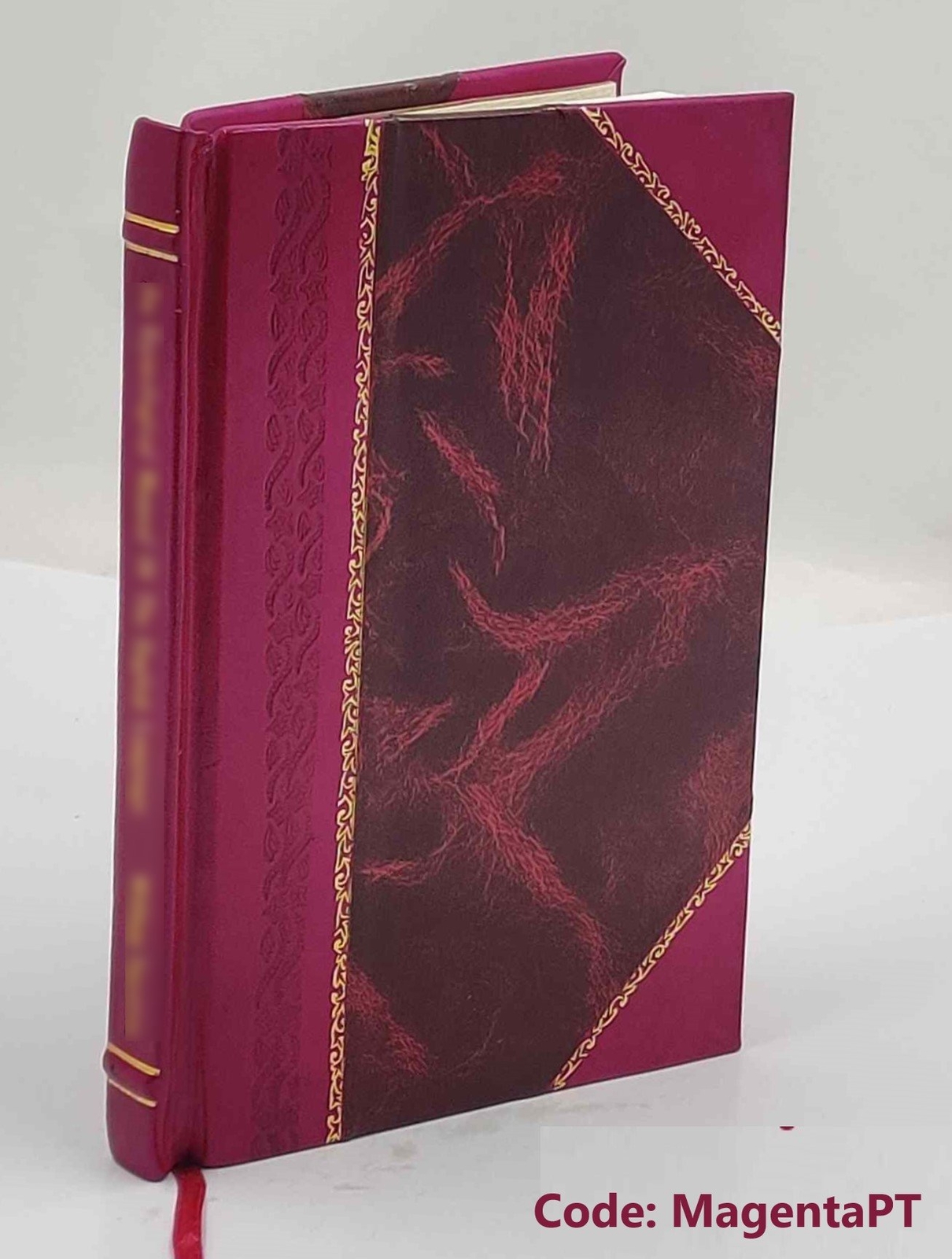 L’Arca di S. Agostino in S. Pietro in Ciel d’oro 1900 by Rodolfo [Leather Bound]