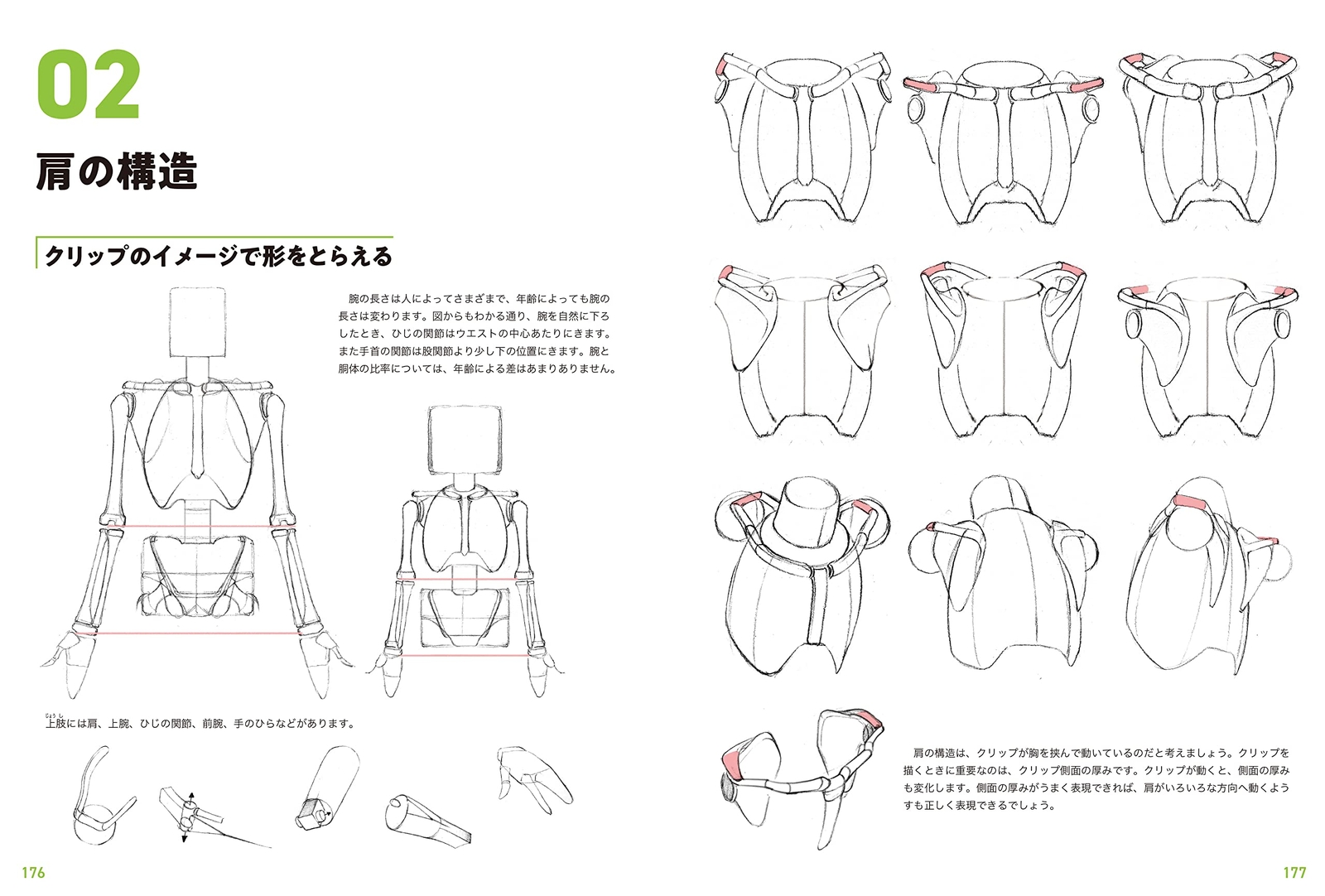 Human Anatomy Drawing Master Guide: Character Design Basics, Large Book