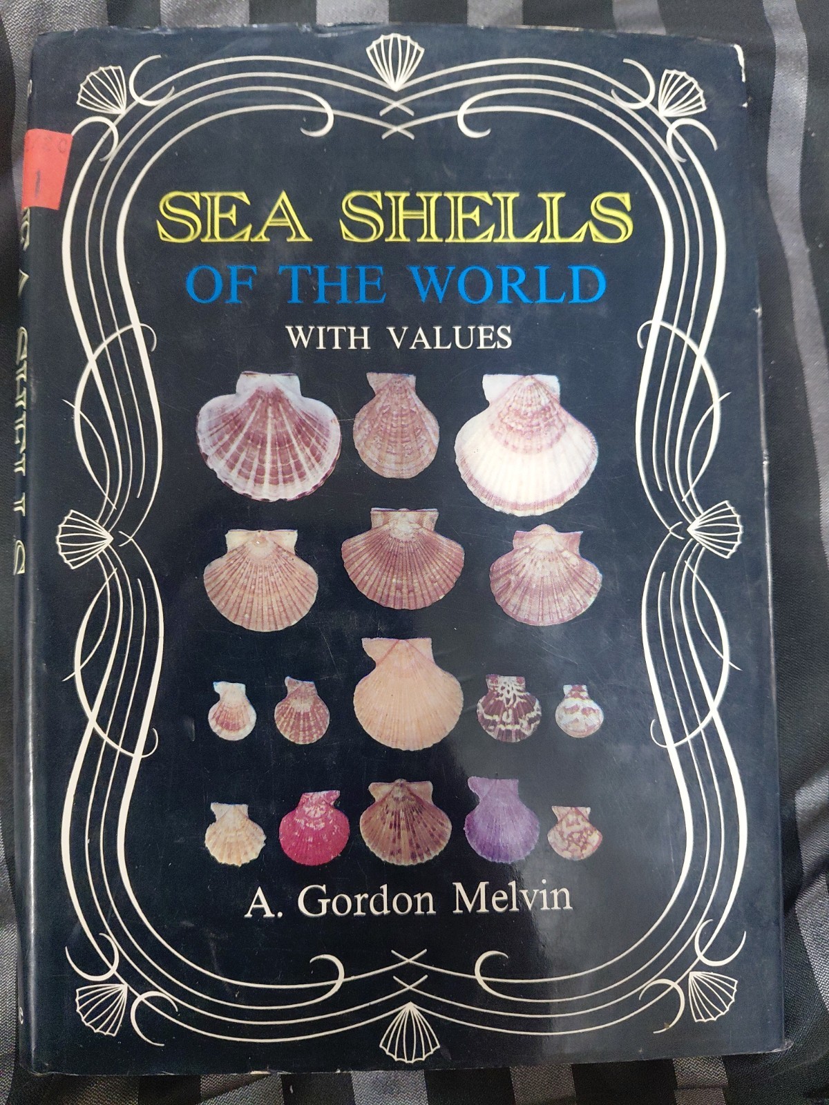 Vintage SEA SHELLS OF THE WORLD By Melvin, Hardcover, 1980