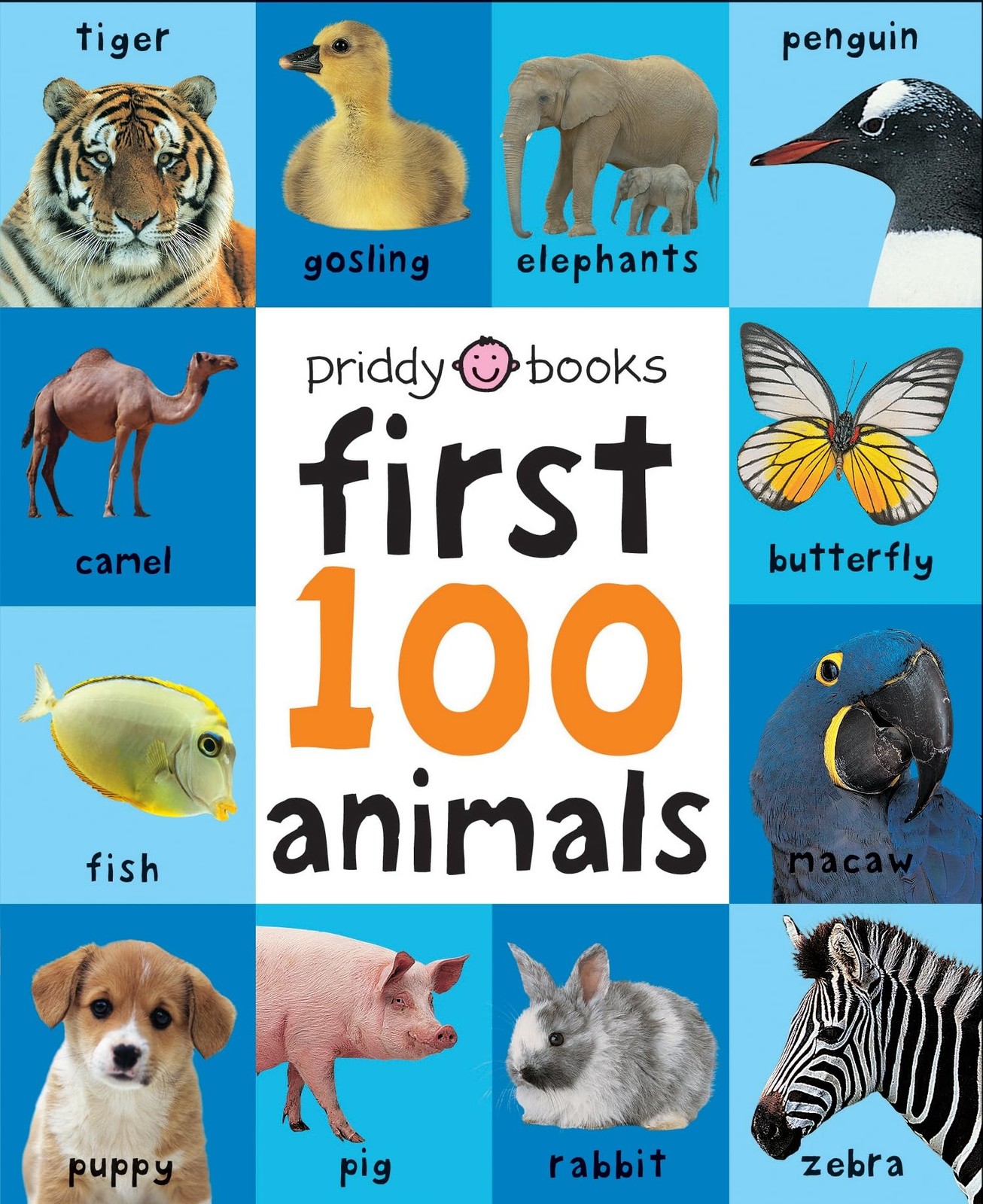 First 100 Animals A padded book―perfect for little hands to hold