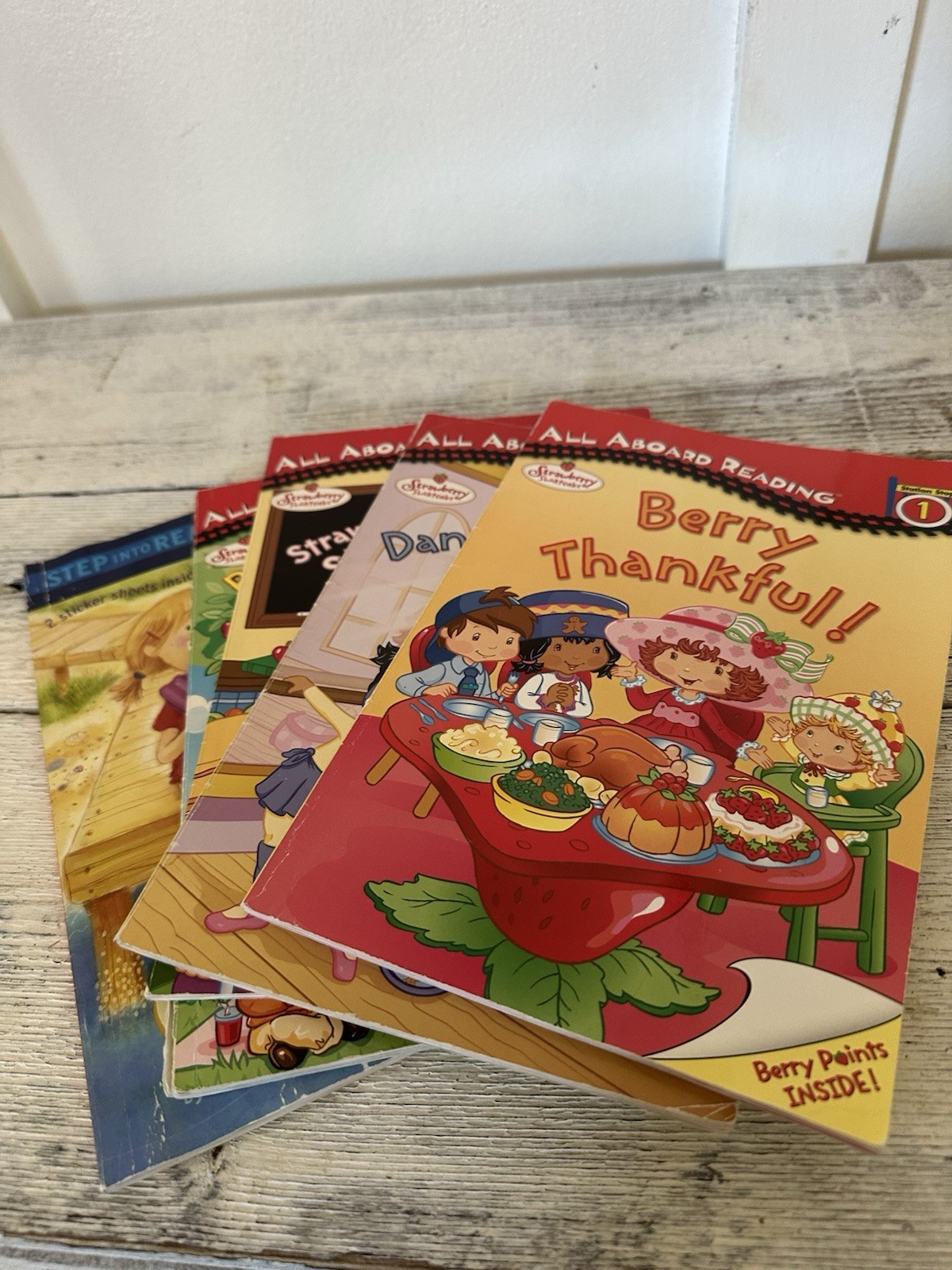 Set Of Kids (girls Interest) Beginner Reading Levels 1-3 Dozen Books