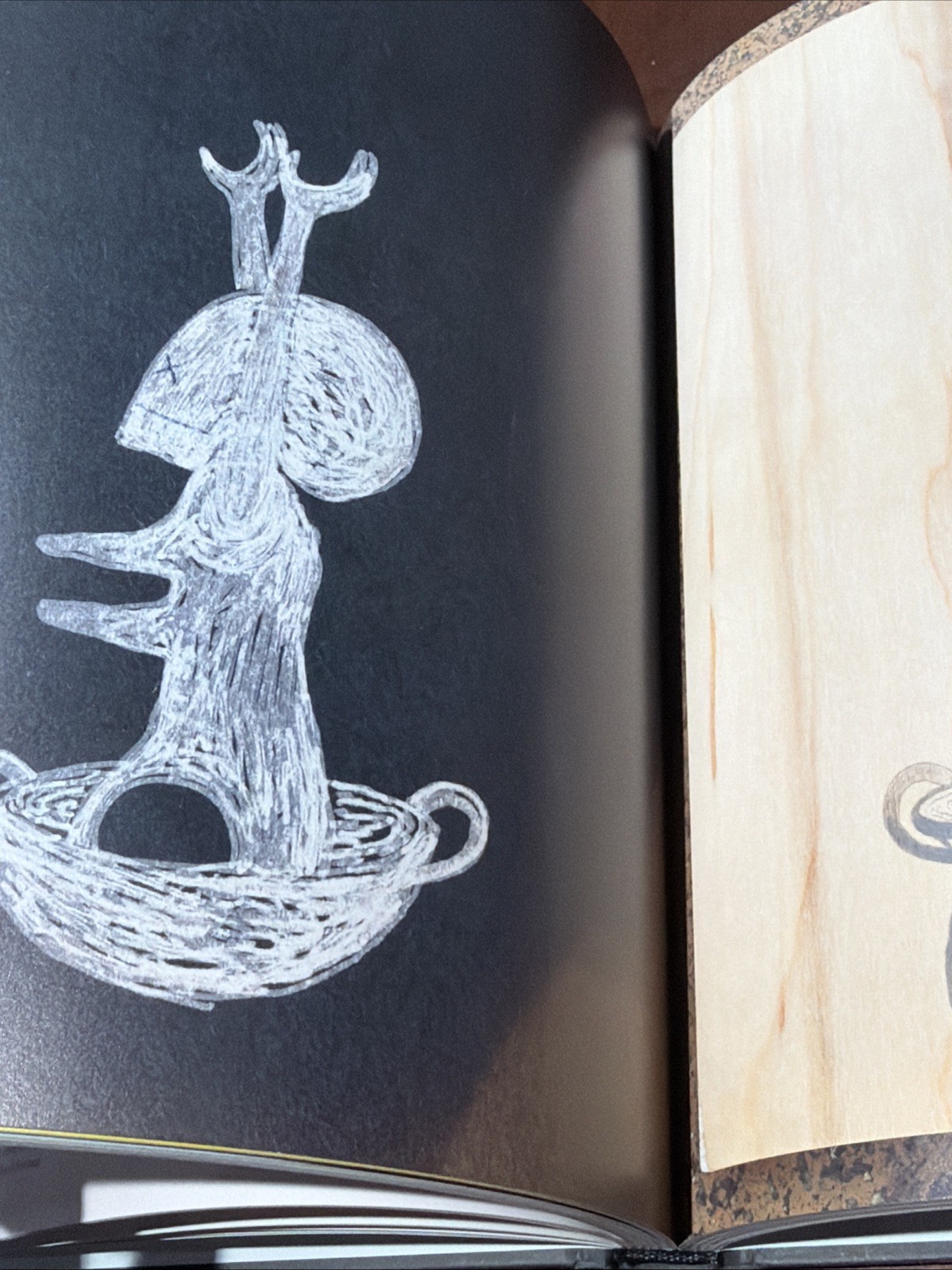 devendra banhart Prestel Verlag Munich Art Book HC 2015