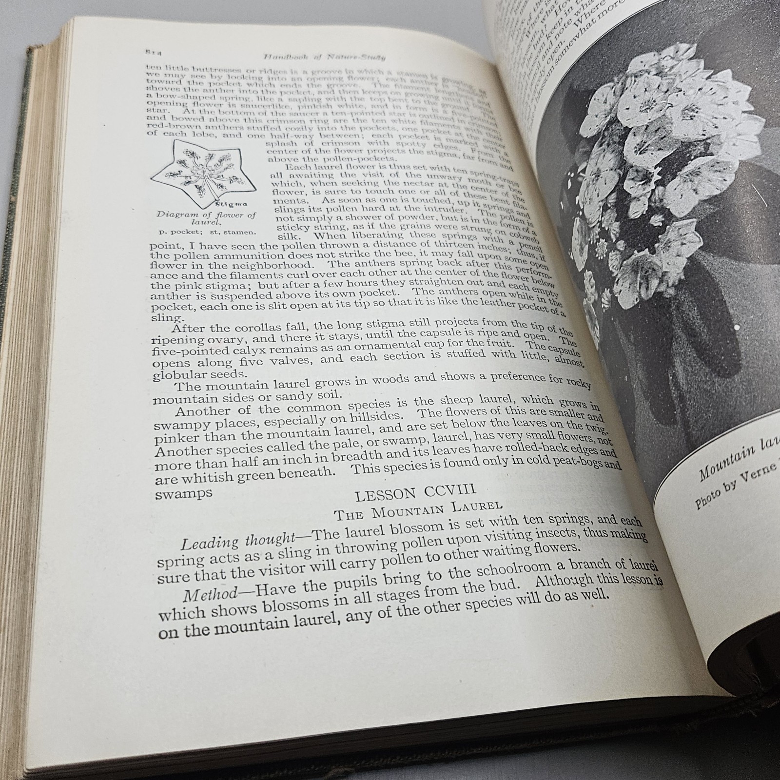 Handbook Of Nature-Study By Anna Comstock 1911 Published 1923