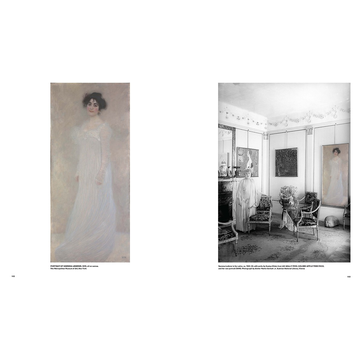 Gustav Klimt: Interiors (Ronald S. Lauder Neue Galerie Museum for German an …