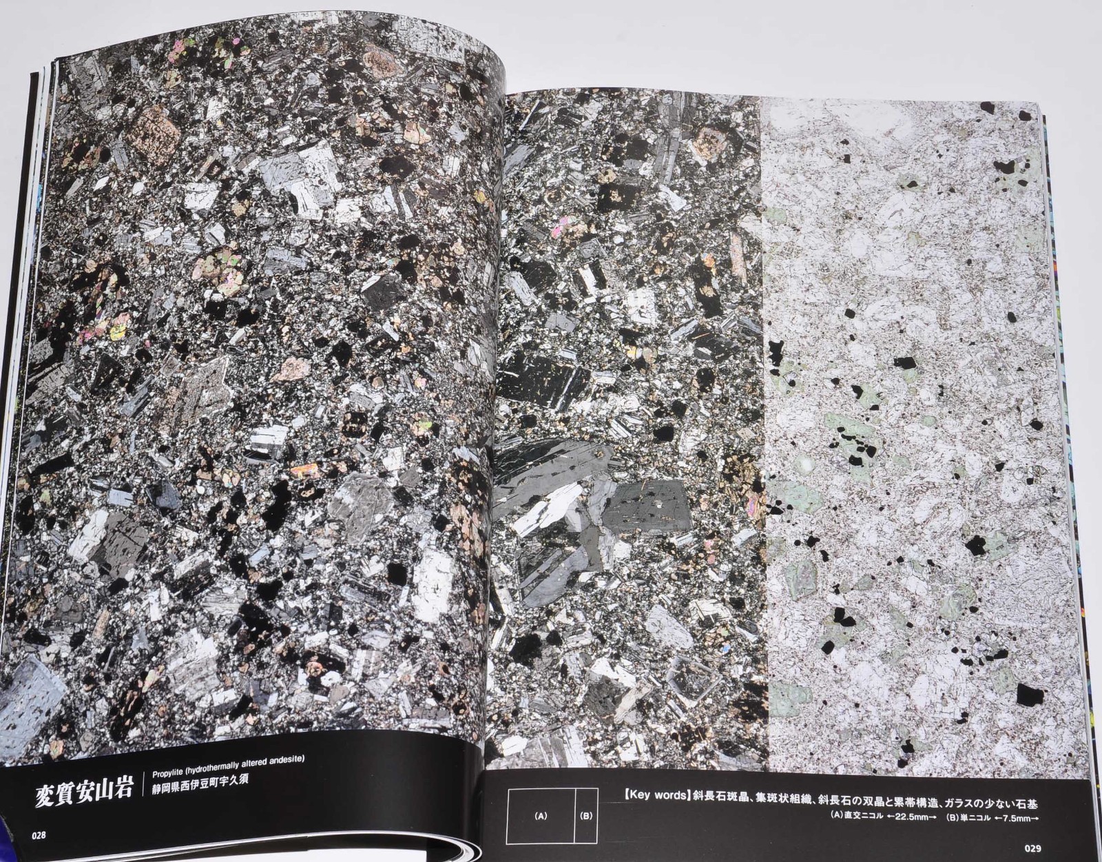 Rock Thin Section Illustrated Guide: Mineral Composition and History from Japan