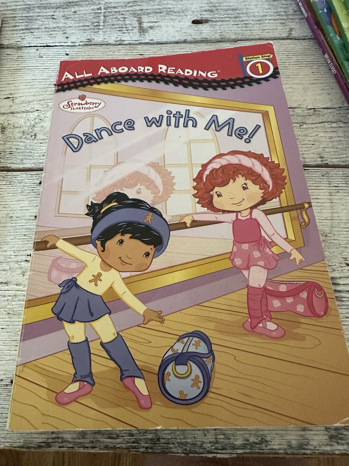 Set Of Kids (girls Interest) Beginner Reading Levels 1-3 Dozen Books