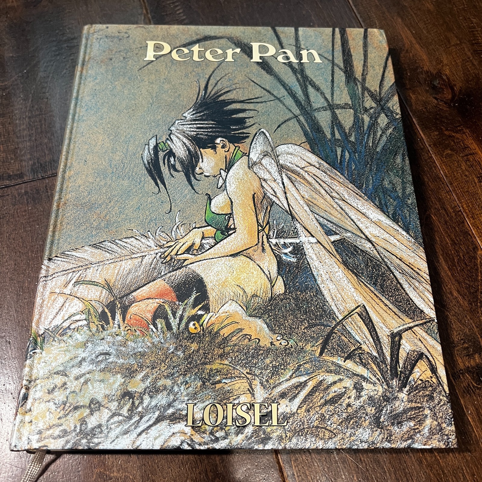 PETER PAN By Regis Loisel 2014 Hardcover Graphic Novel Book French English