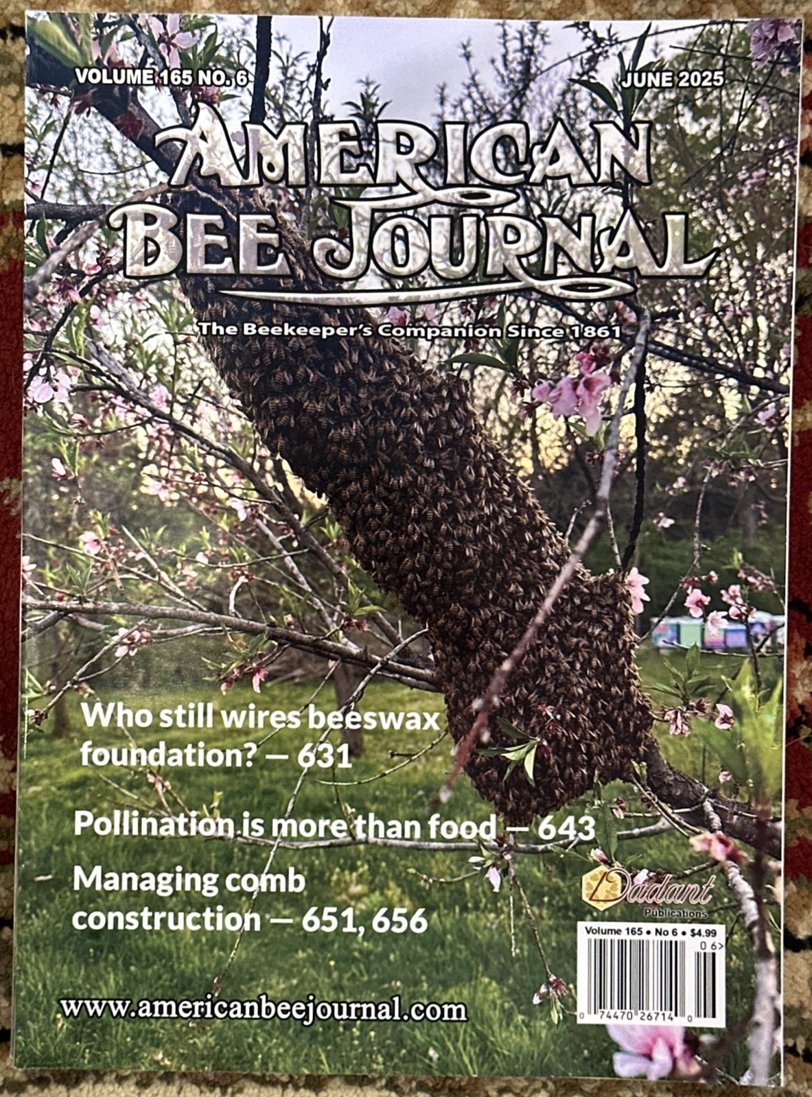 AMERICAN BEE JOURNAL MAGAZINE Vol 165 No 6 June 2025