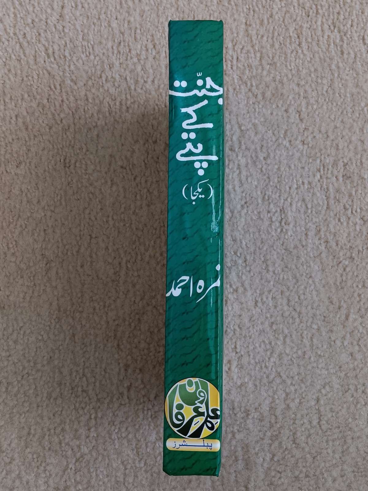 Jannat k Pattay Urdu Novel By Nimra Ahmed – جنت کے پتے ناول – نمرہ احمد