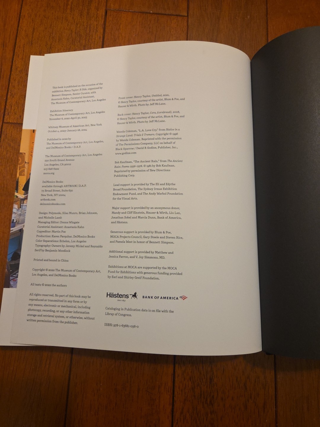 Henry Taylor: B Side by Henry Taylor (2022, Hardcover)